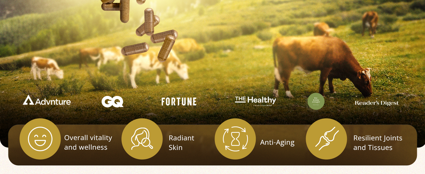 ancestral beef organs supplements for men natural iron supplement mineral super