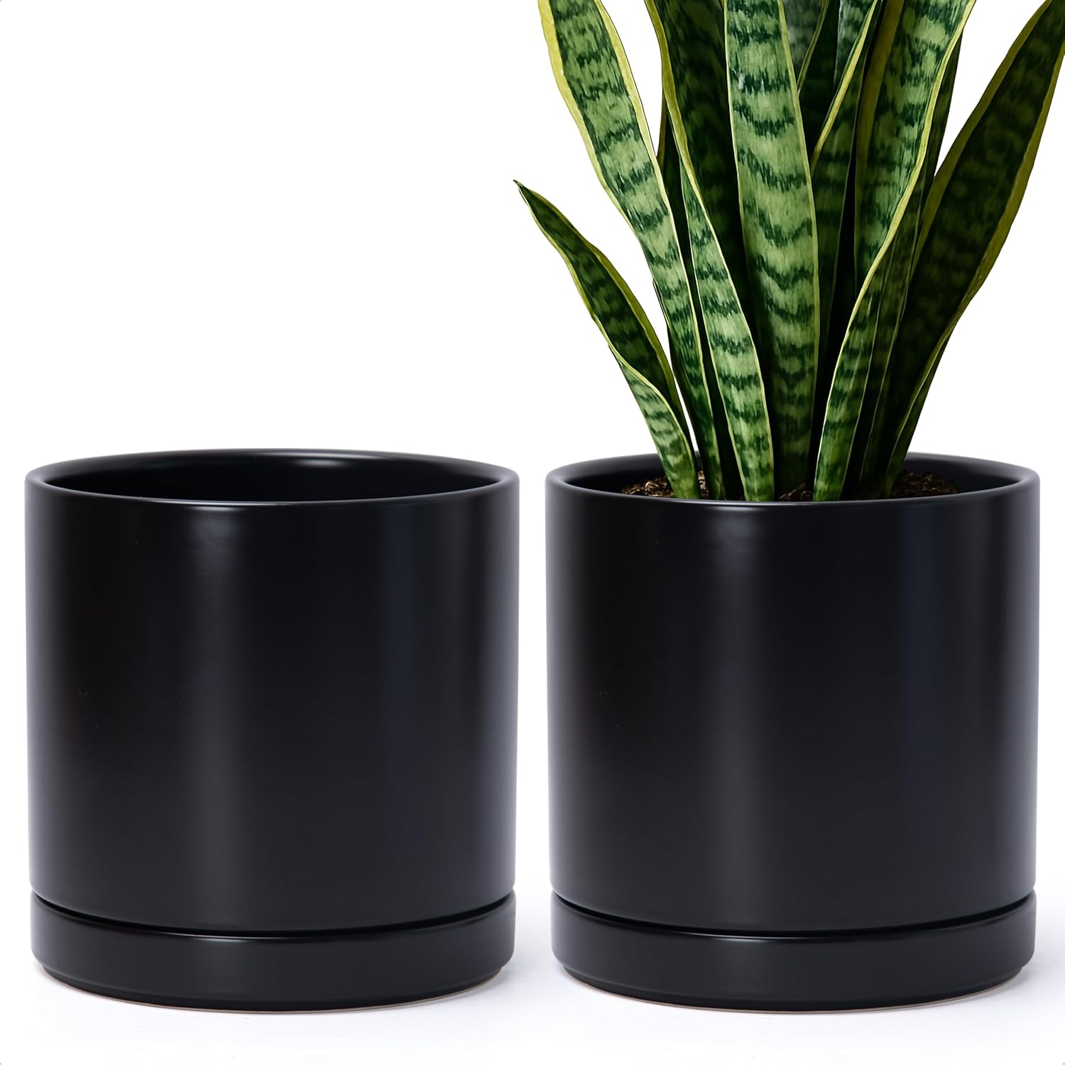 D'vine Dev 2-Pack Ceramic Pots with Saucers, White/Grey, 4.7 in, 94-V-B-6
