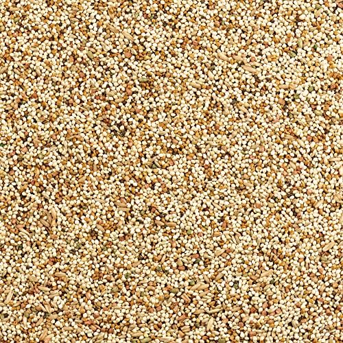 Wild Harvest Daily Blend Nutrition Diet Parakeet, Canary And Finch, Bird Food, 5 Pounds