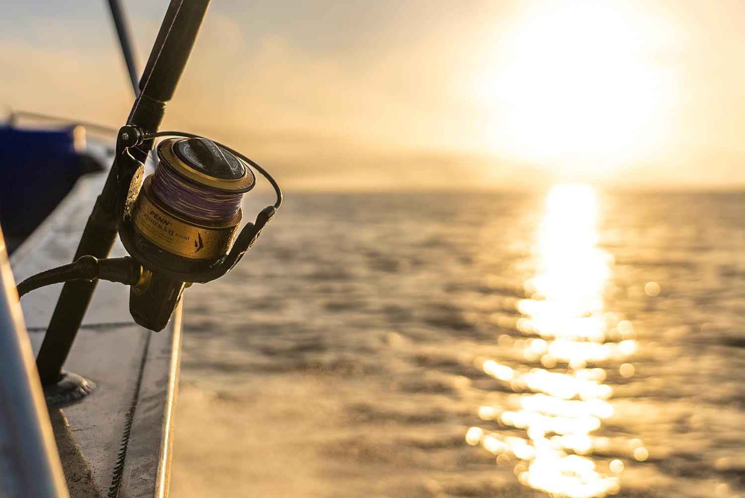 Penn Spinfisher VI Spinning Fishing Reel