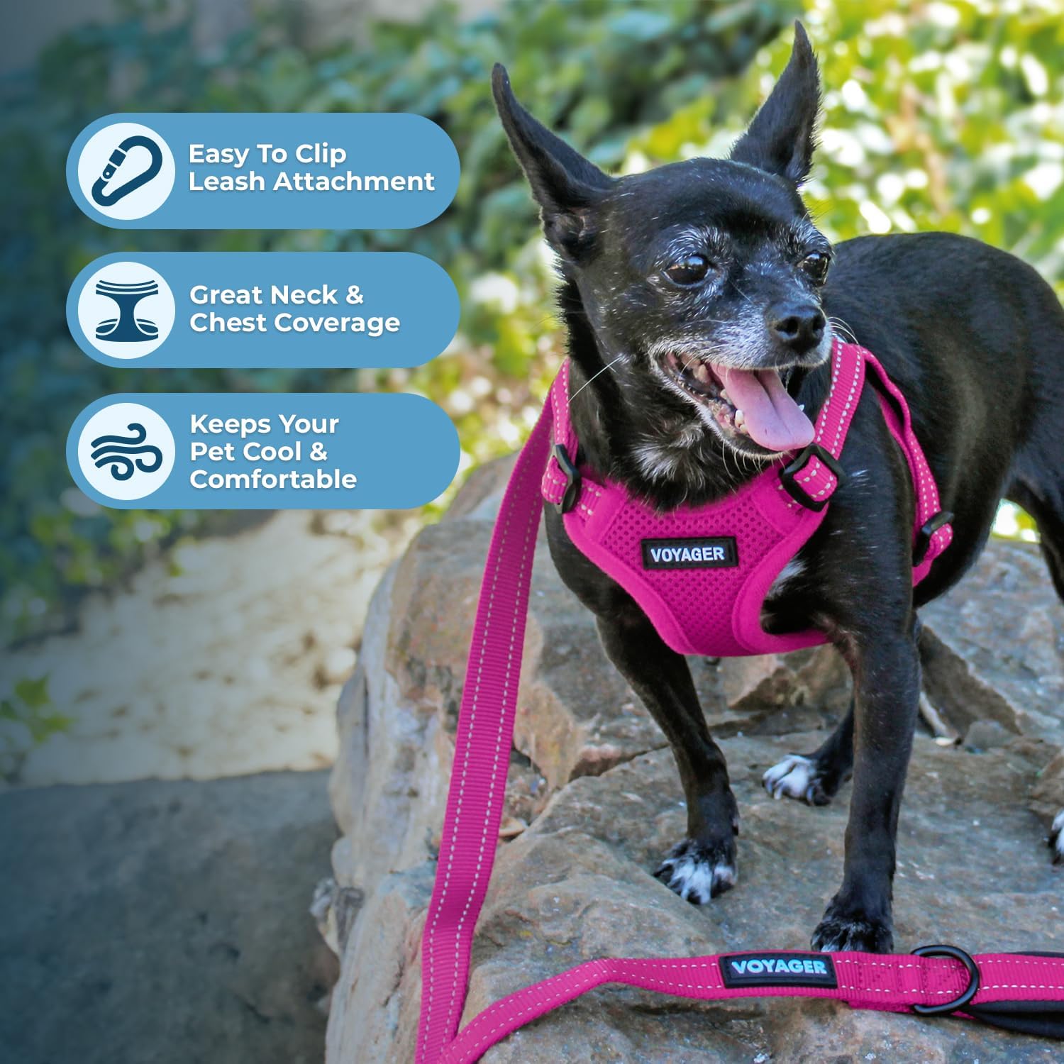 Voyager Step-in Flex Adjustable Dog Harness - Black, Medium | 17 - 21" in Chest, Fully Adjustable, Reflective Bands, All Weather Breathable Air Mesh, Lightweight, Fast Drying