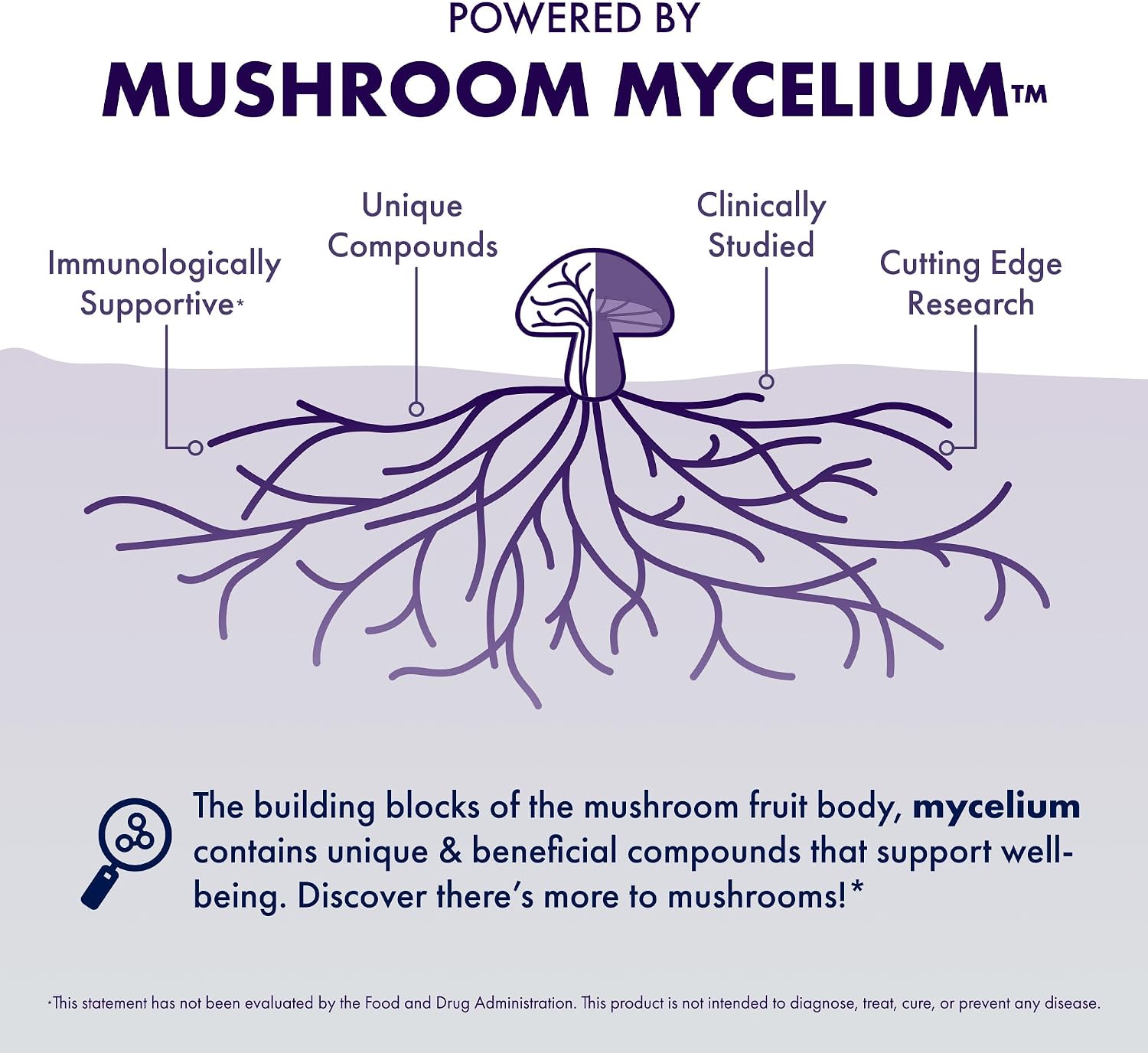 Host Defense MycoBotanicals Brain* Capsules - Brain Support Supplement with Lion's Mane, Reishi & Cordyceps Mushroom - Herbal Supplement for Memory & Focus Support - 60 Capsules