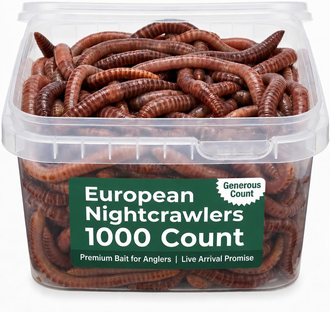 Live PANFISH European Nightcrawlers Composting Worms Fishing Worms