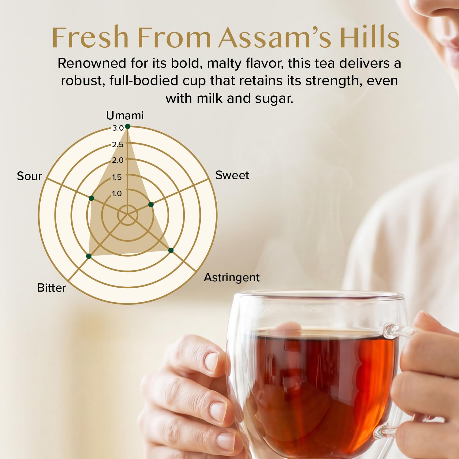 VAHDAM, Himalayan Green Tea Leaves (50+ Cups, 3.53 Oz) Non GMO, Gluten Free | High Elevation Grown Green Tea Leaves From Himalayas | Pure Unblended Single Origin Green Loose Leaf Tea | Vacuum Sealed