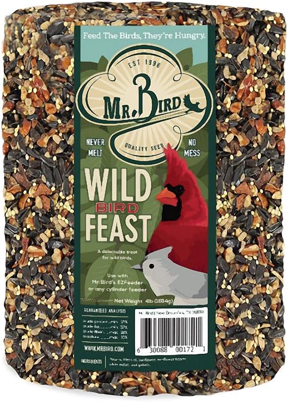 Mr. Bird WildBird Feast Cylinder, 1-Pack, 4 lbs | Wild Bird Seed for Outside Feeders | Premium Blend of Pecans, Sunflower Hearts & Millet | No Mess, No Melt