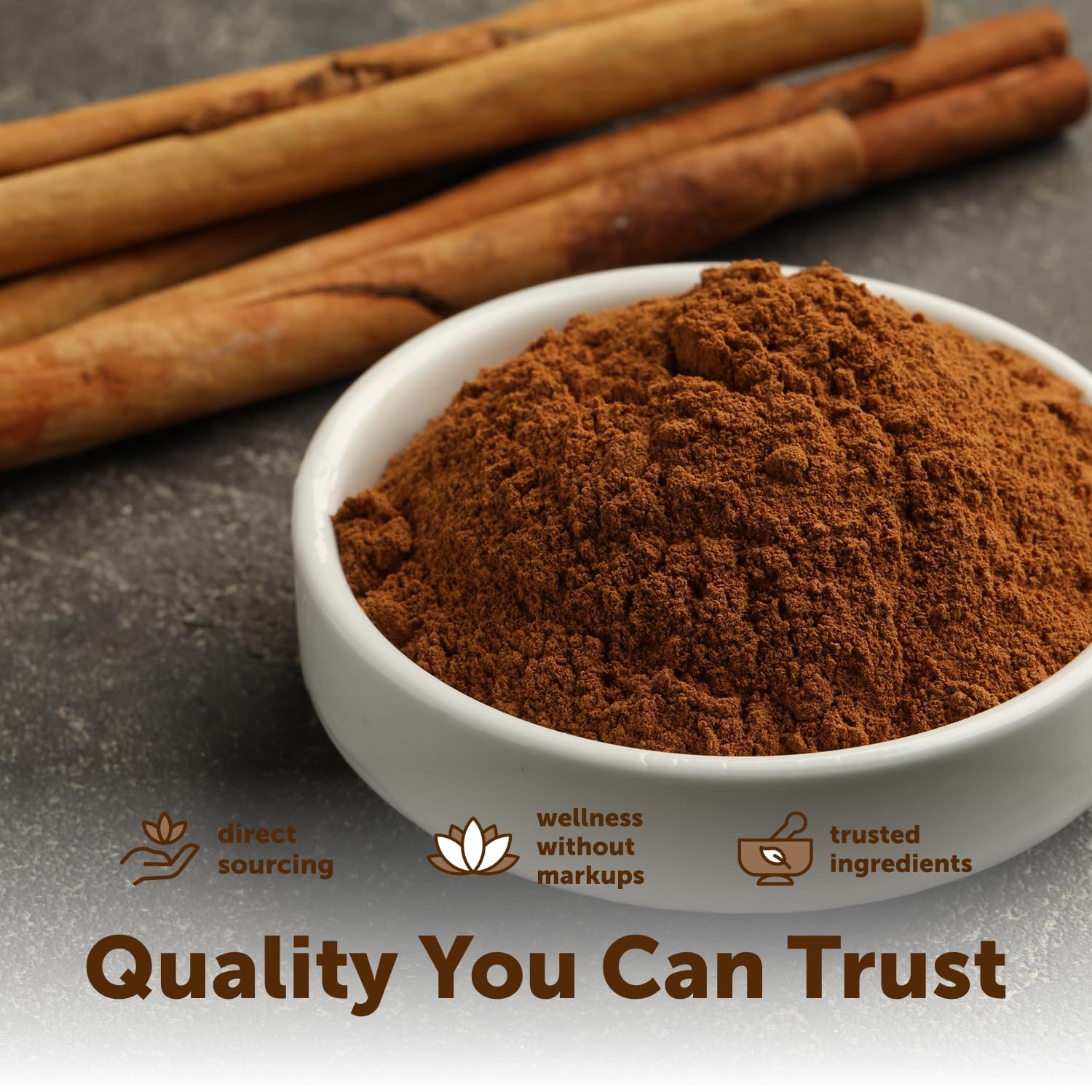 Micro Ingredients Organic Ceylon Cinnamon Powder, 2 lb Sri Lanka Source | True Cinnamon for Spice & Seasoning | Great for Baking, Cooking, & Drinks | Additive Free, Non-GMO