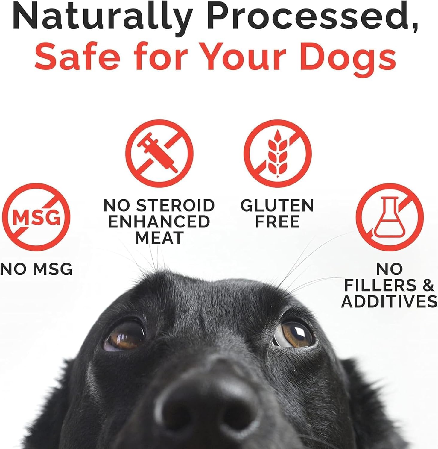 Miss Nelly's- All Natural Beef Jerky Dog Treats Made in USA Only, 16 oz Bag