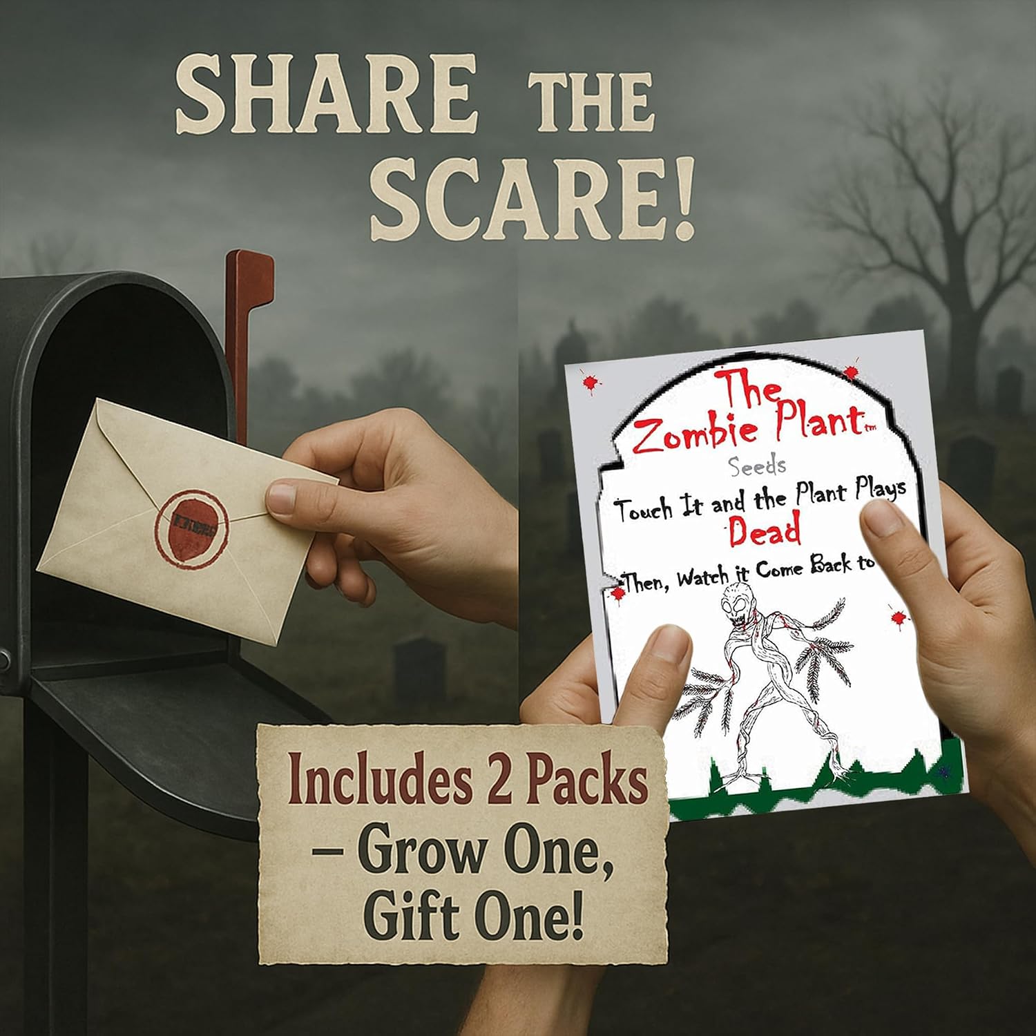 Zombie Plant Seed Packets – Grow a Live Sensitive Plant that Plays Dead When Touched! Indoor Plant Seeds & Educational STEM Activity | House Plant Seeds | Unique Garden Seeds – 2 Pack