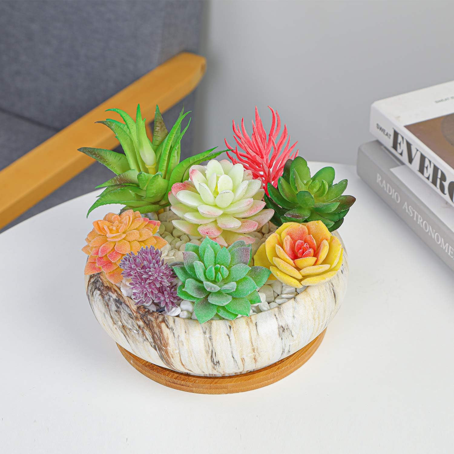 Succulent Pots, 7.3'' Large Bonsai Pots with Tray, Shallow Planters