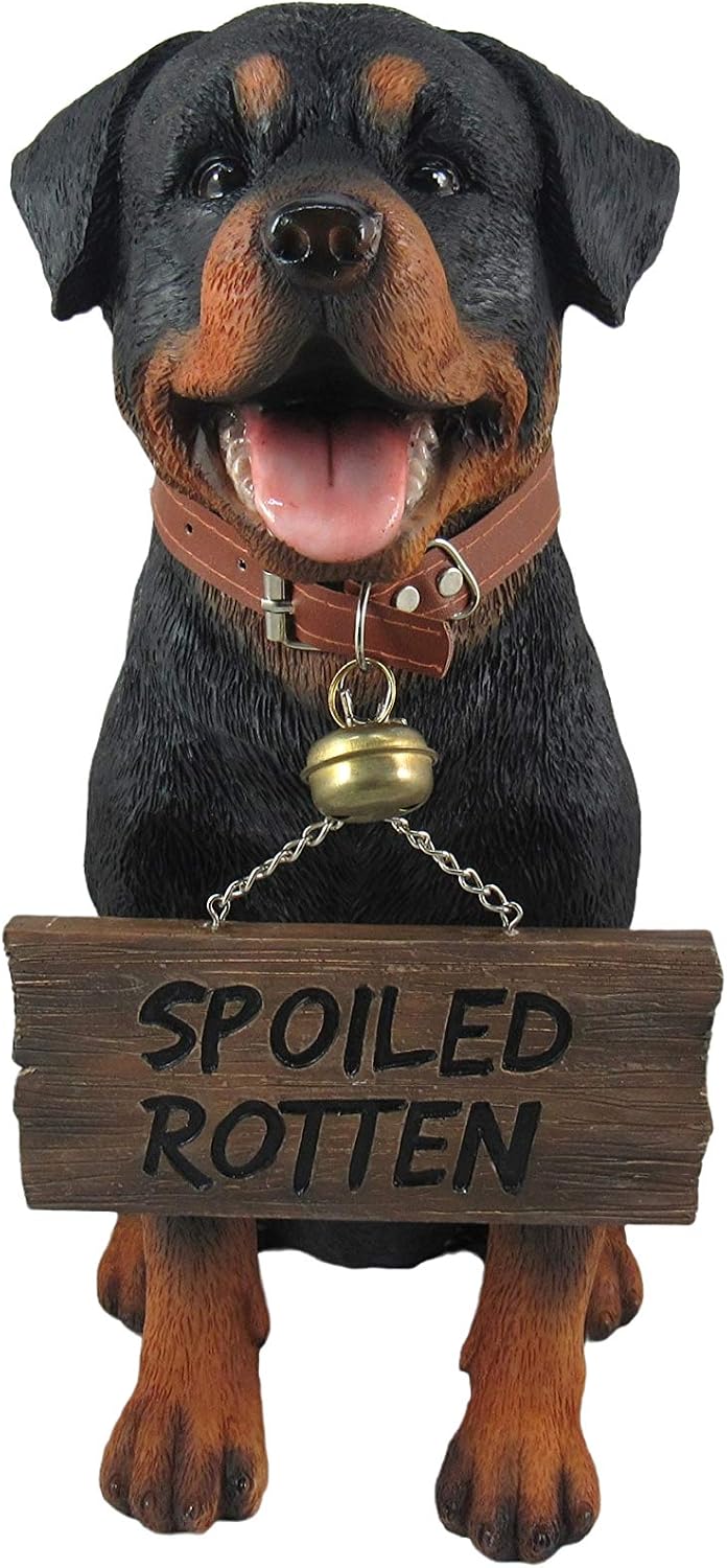 Rottweiler Outdoor Statue, 13 Inch Guard Dog with Reversible Sign