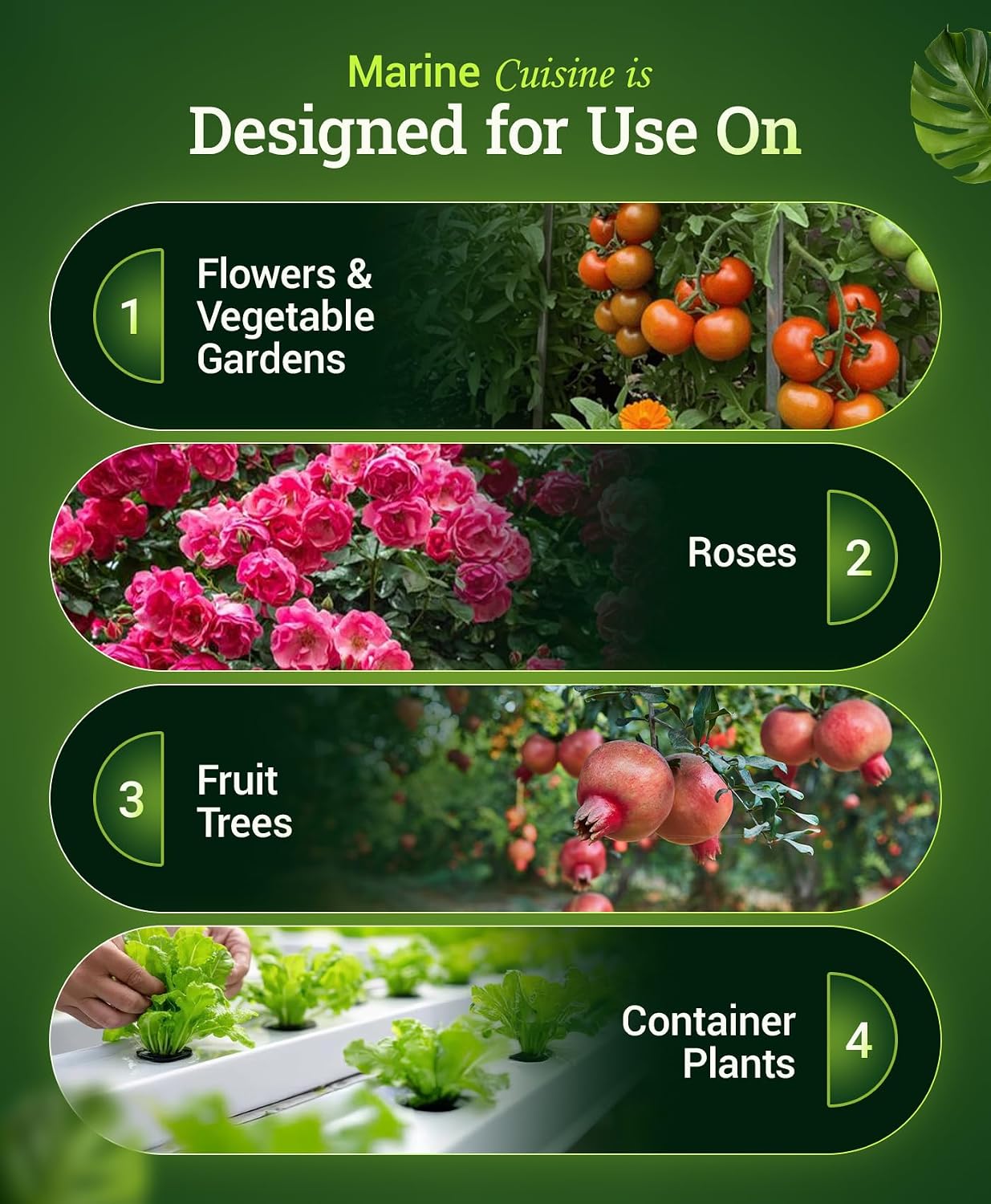 FoxFarm Marine Cuisine All Purpose Fertilizer - 10-7-7 Ocean-Based Plant Food with Crab Meal, Seabird Guano - Slow Release Fertilizer for Vegetables