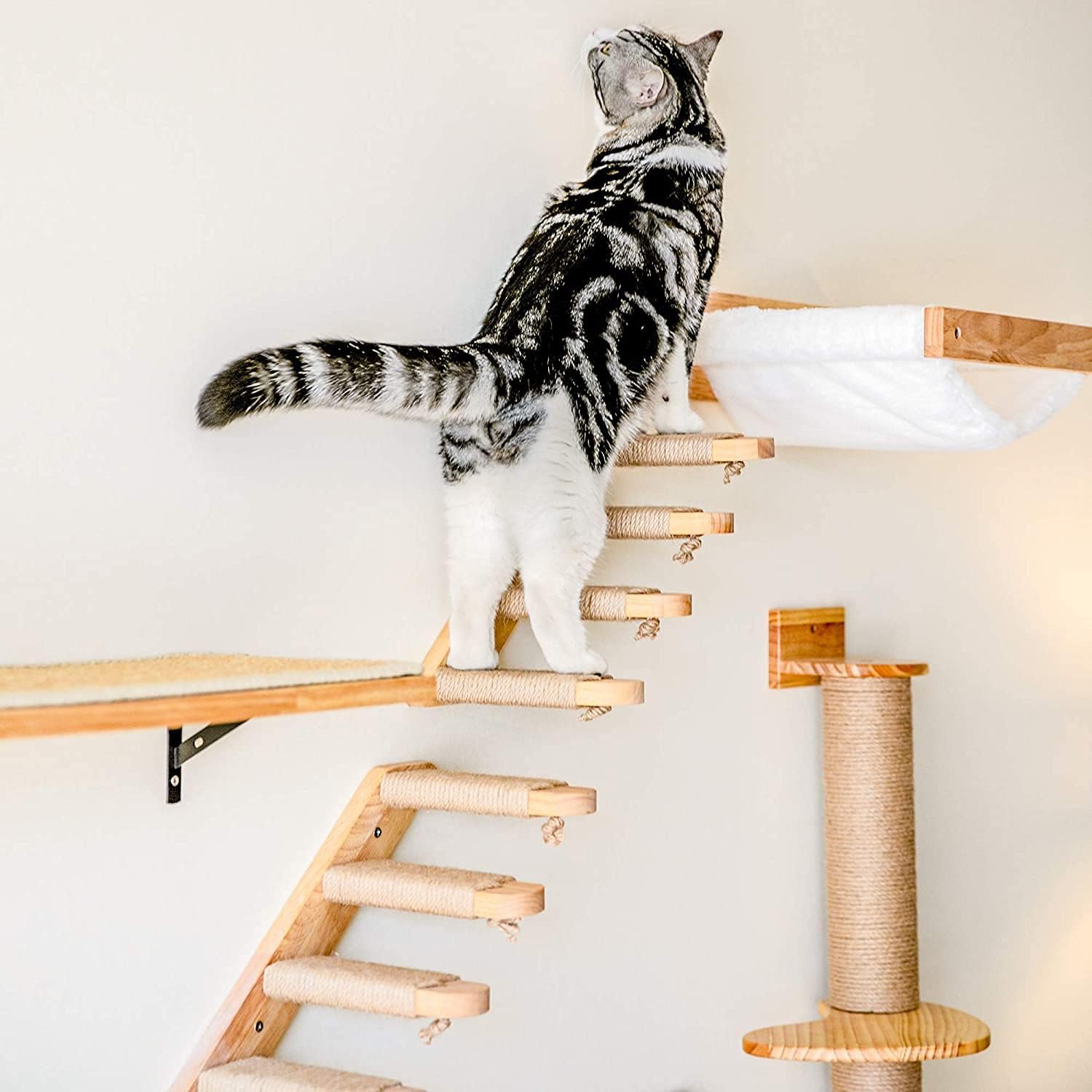 FUKUMARU Hammock Wall Mounted Cat Beds and Perches