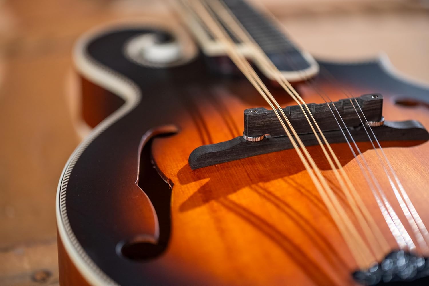 Washburn M3SEBRK F-Style Mandolin Brown Burst | Spruce top; Maple back and sides