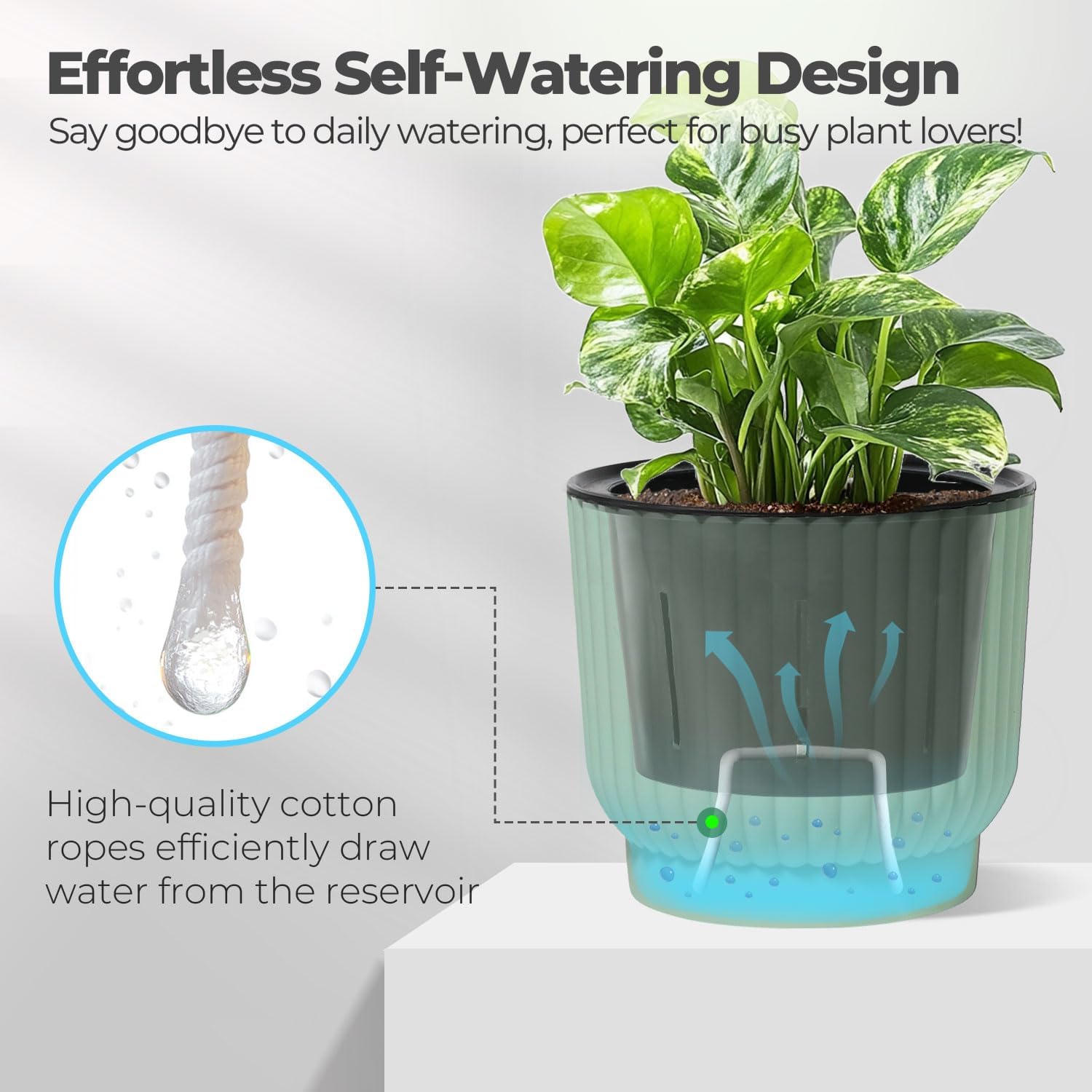 T4U Self Watering Pots for Indoor Plants, 4 Inch 6 Pack Planter White