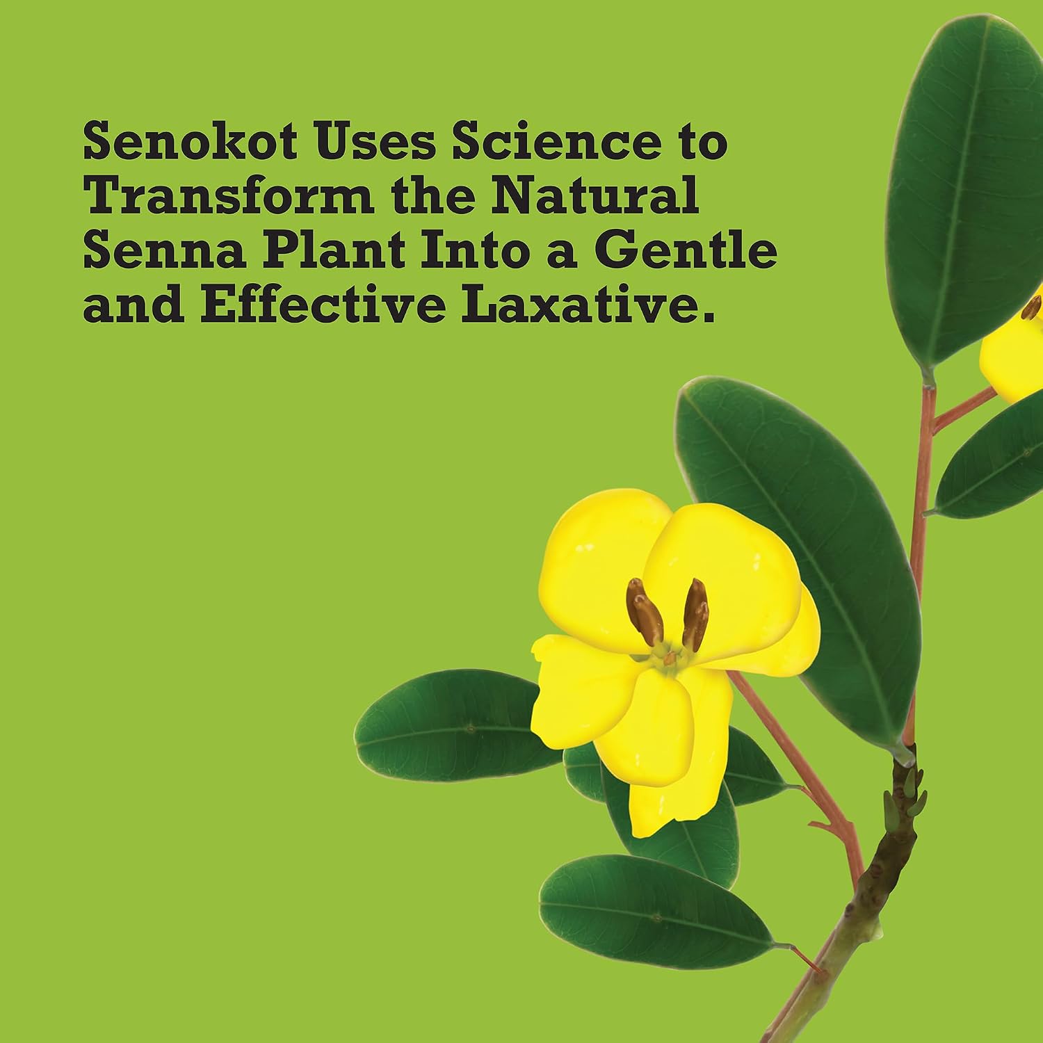 Senokot Regular Strength Laxatives for Constipation, Senna Tablets, 100 ct