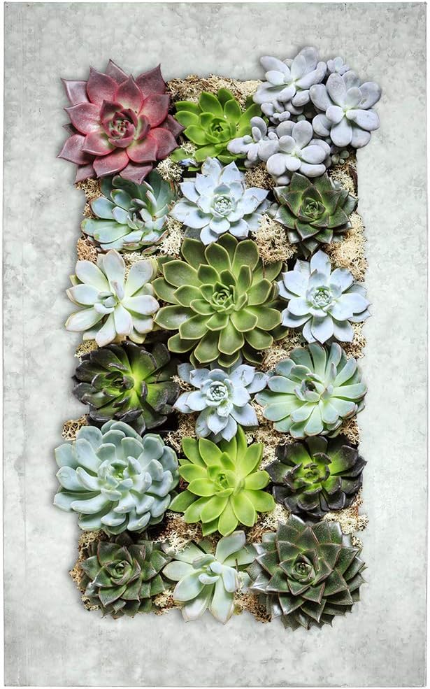 Modern Home Living Wall Galvanized Steel/Zinc Succulent Planter, Wall Mounted Garden Pocket Planter (18 Pocket, Aged Zinc)