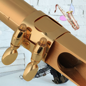 Sax Mouthpiece