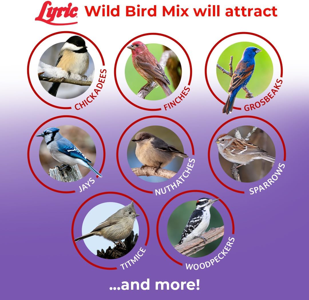 Lyric Wild Bird Mix - Includes Corn, Nuts, and Wild Bird Seed for Outside Feeders, Attracts Doves, Jays and Many More, 40 lb Bag | Includes corn