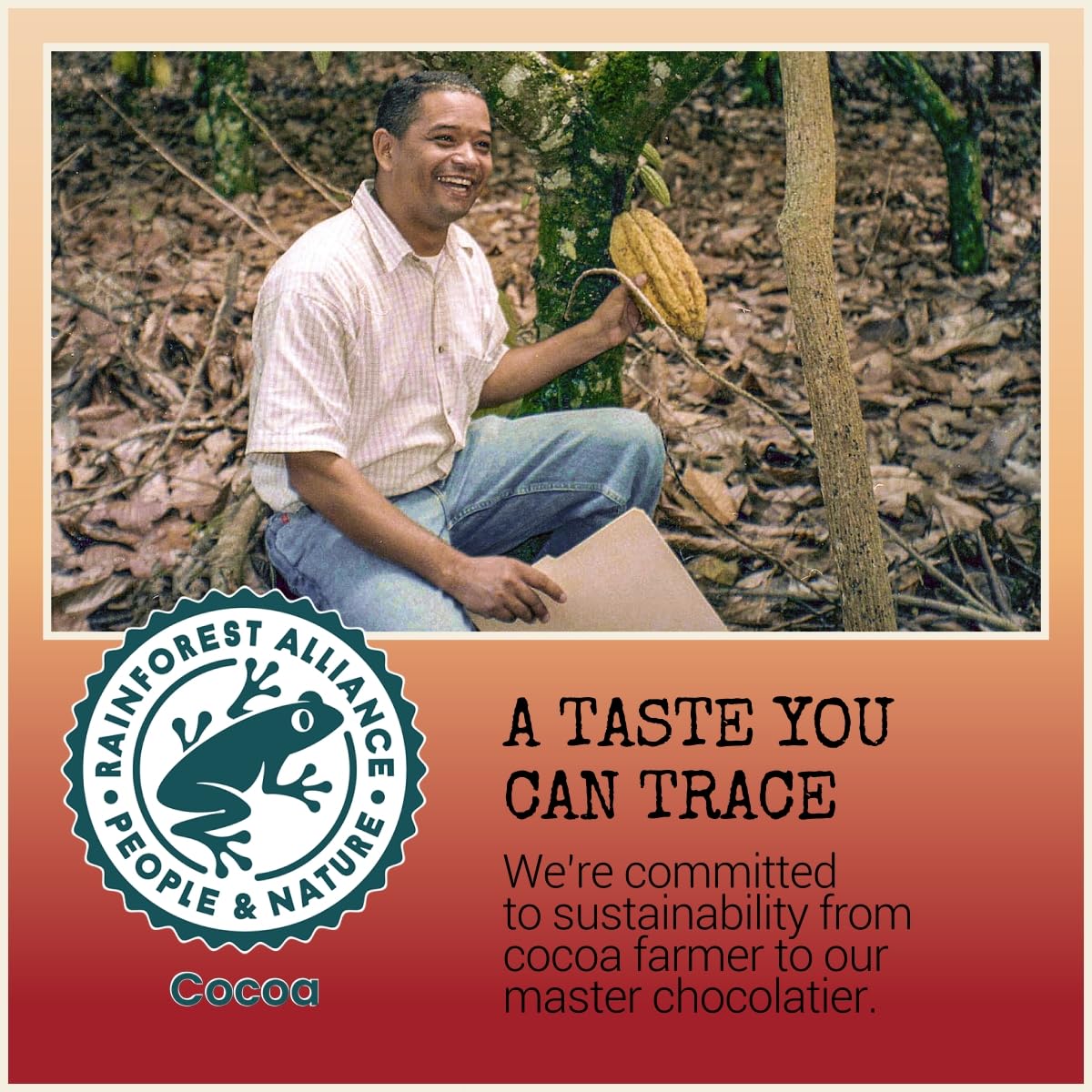 Chocolove Salted Caramel Chocolate Bars | 55% Cocoa | Silky Caramel with a Hint of Salt | Made with Premium Chocolate | Non-GMO, & Gluten-Free, 3.2 oz Bar (10 Pack)