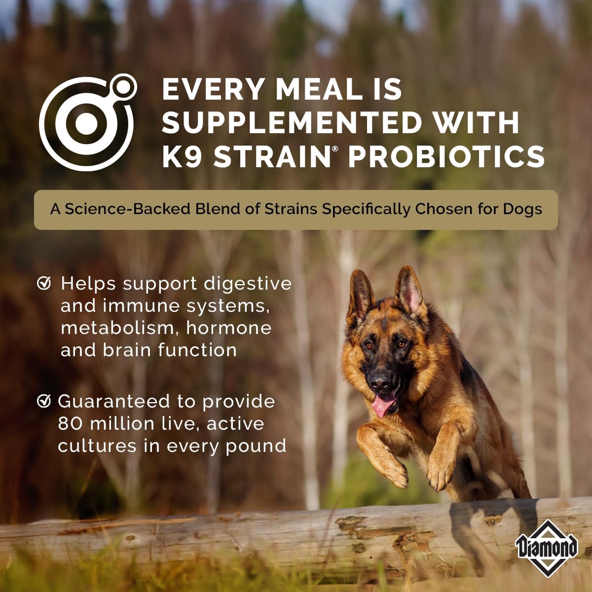 Diamond Maintenance Adult Dry Dog Food, Chicken Protein, 40lb | For Moderately Active Dogs | Omega Fatty Acids Help Support Healthy Skin & Shiny Coat | Guaranteed Probiotics
