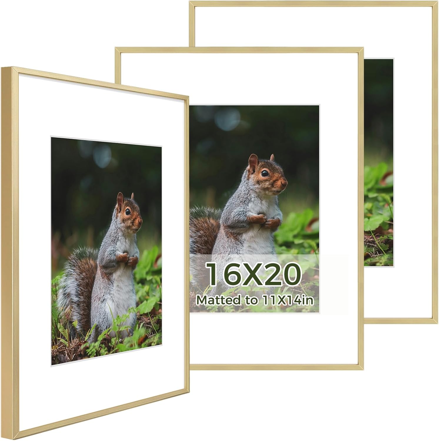 Golden State Art 3 Pack 12x12 Black Aluminum Frames, Real Glass Fronts