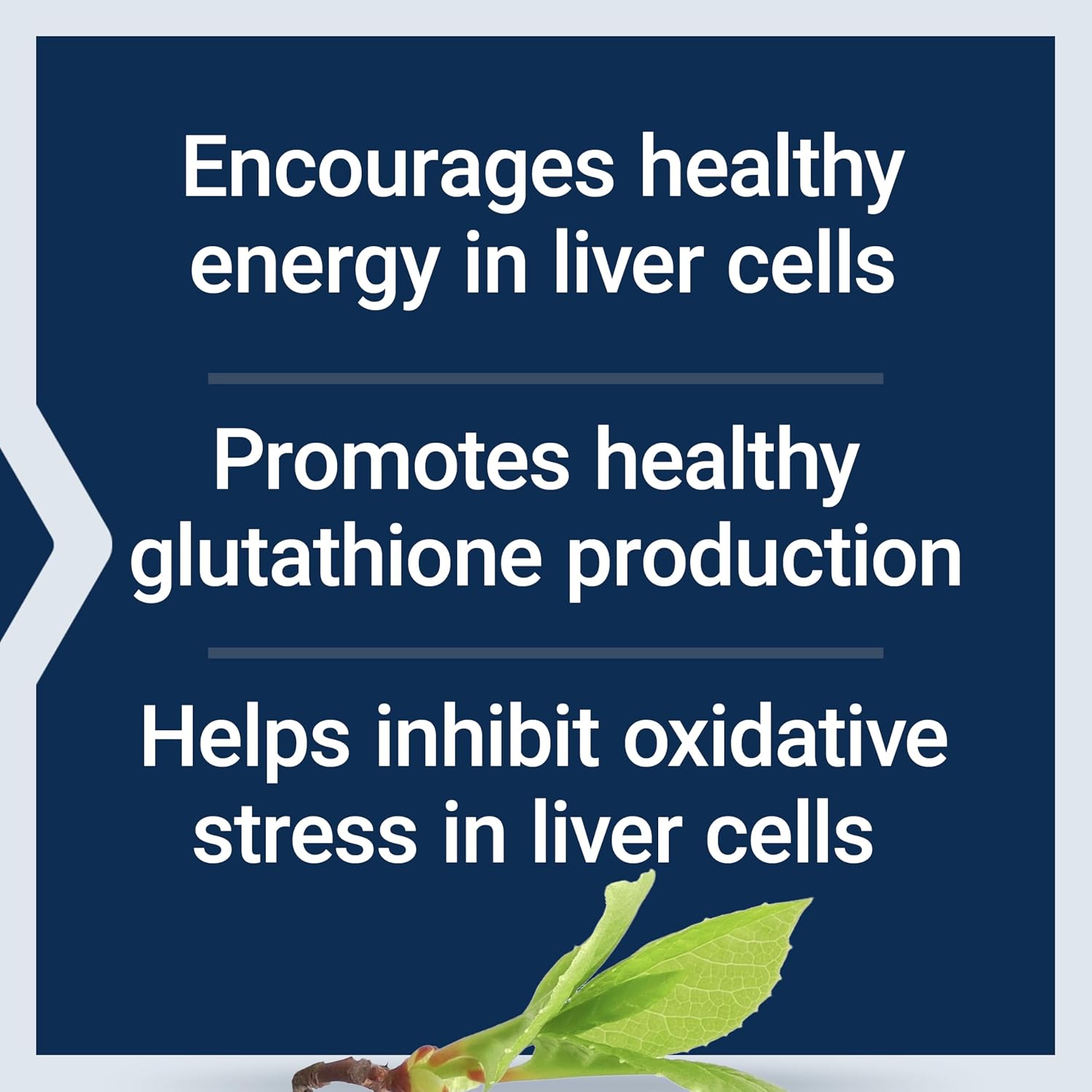 Life Extension Liver Efficiency Formula, Supports Healthy Liver Function at the Cellular Level and Optimal Levels of antioxidants in Metabolism