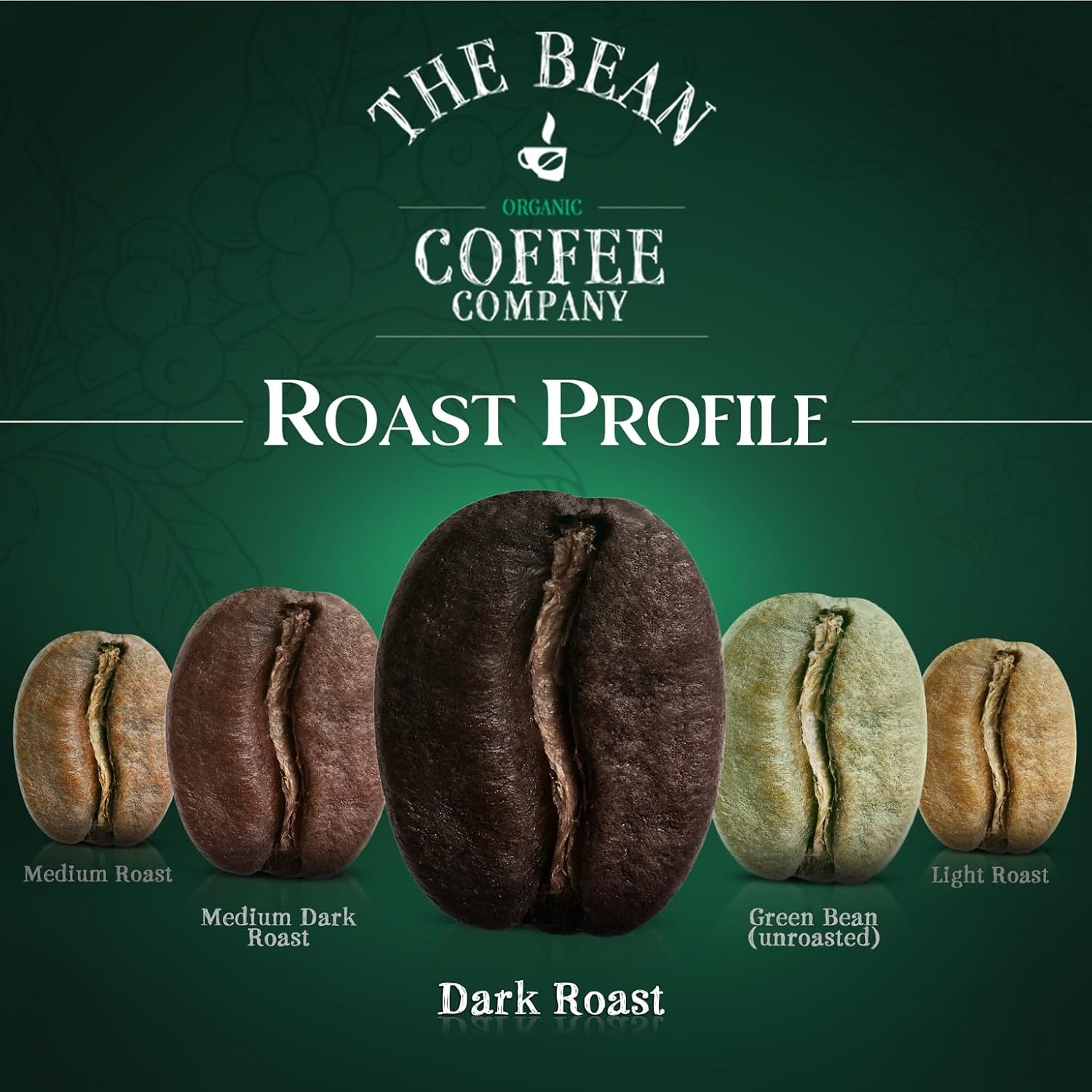 The Bean Organic Coffee Company Le Bean, Dark French Roast, Whole Coffee, 16-Ounce Bag