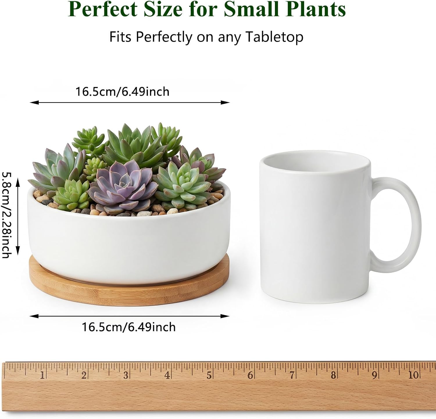 ZOUTOG 2 Pack 6" Ceramic Succulent Pots, White Planters with Drainage Tray