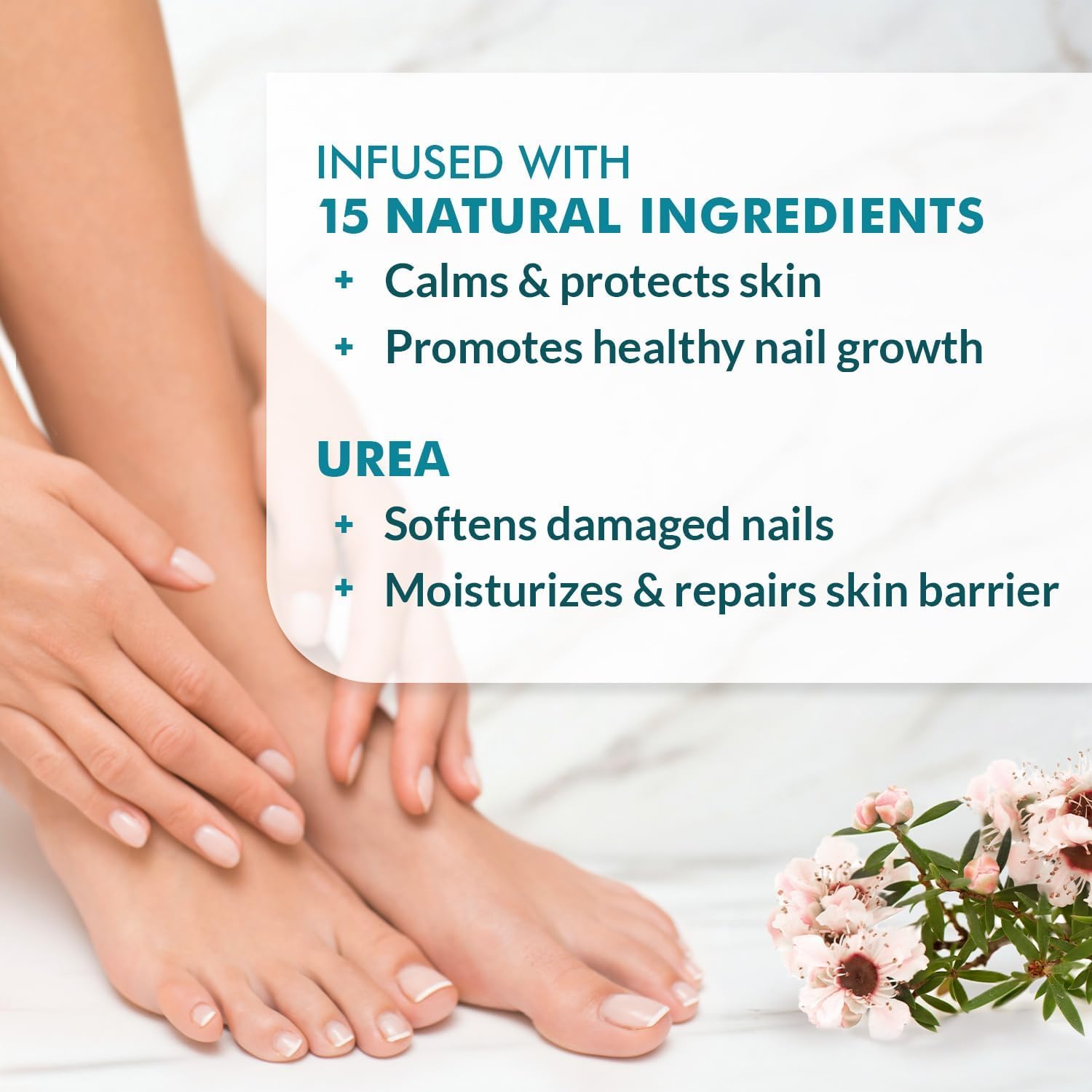 Ebanel Athlete's Foot Fungus Treatment, Miconazole Antifungal Cream 1Oz