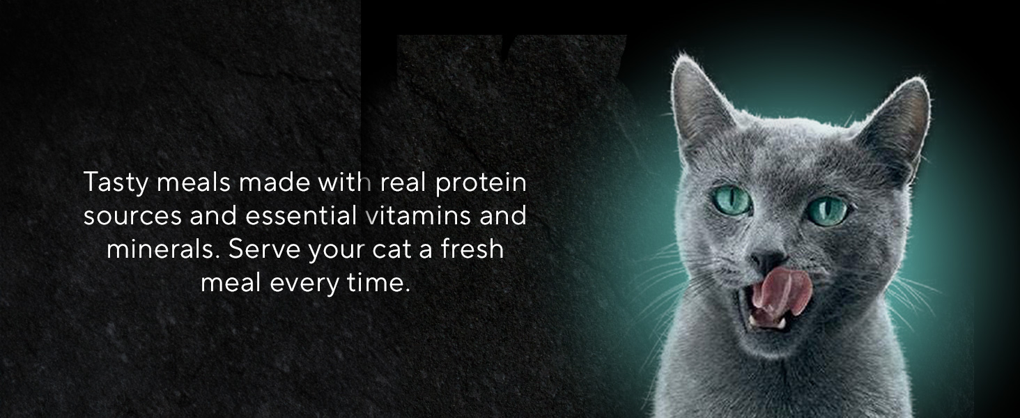 Sheba pate wet cat food