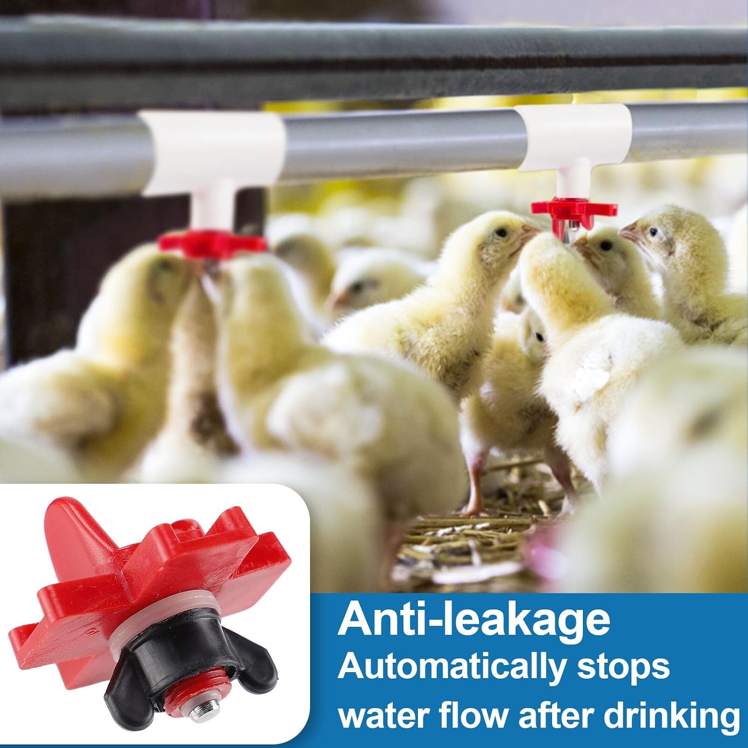 20 Pack Chicken Waterer Nipples for Chicks to Chickens with Drill Bits | Water Saving Design, Easy Install Leakproof Poultry Watering System, Chicken Coop Accessories, Quail Water Feeder