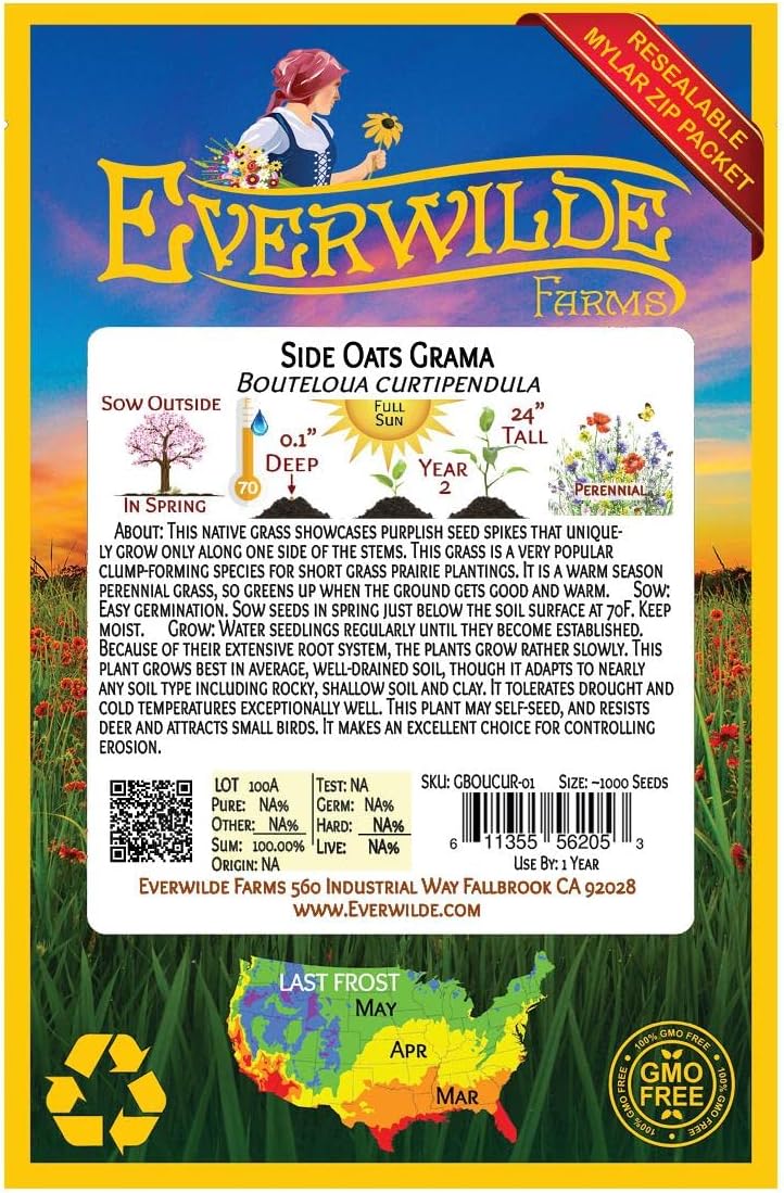 1 Lb Side-Oats Grama Native Grass Seeds - Gold Vault