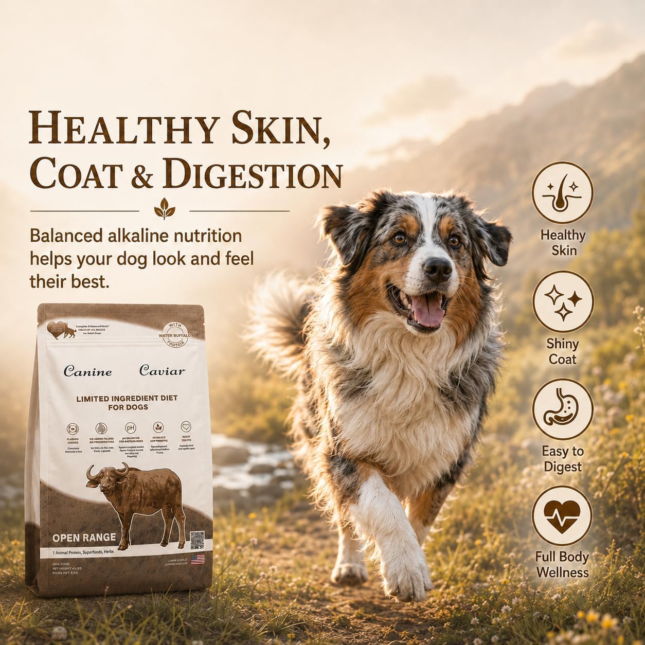 Canine Caviar - Open Range: Water Buffalo & Chickpea Alkaline Dry Dog Food, Limited Ingredients, Gluten-Free, Based on Science & Research, Veterinary Alternative Diet (22 Pound Bag)