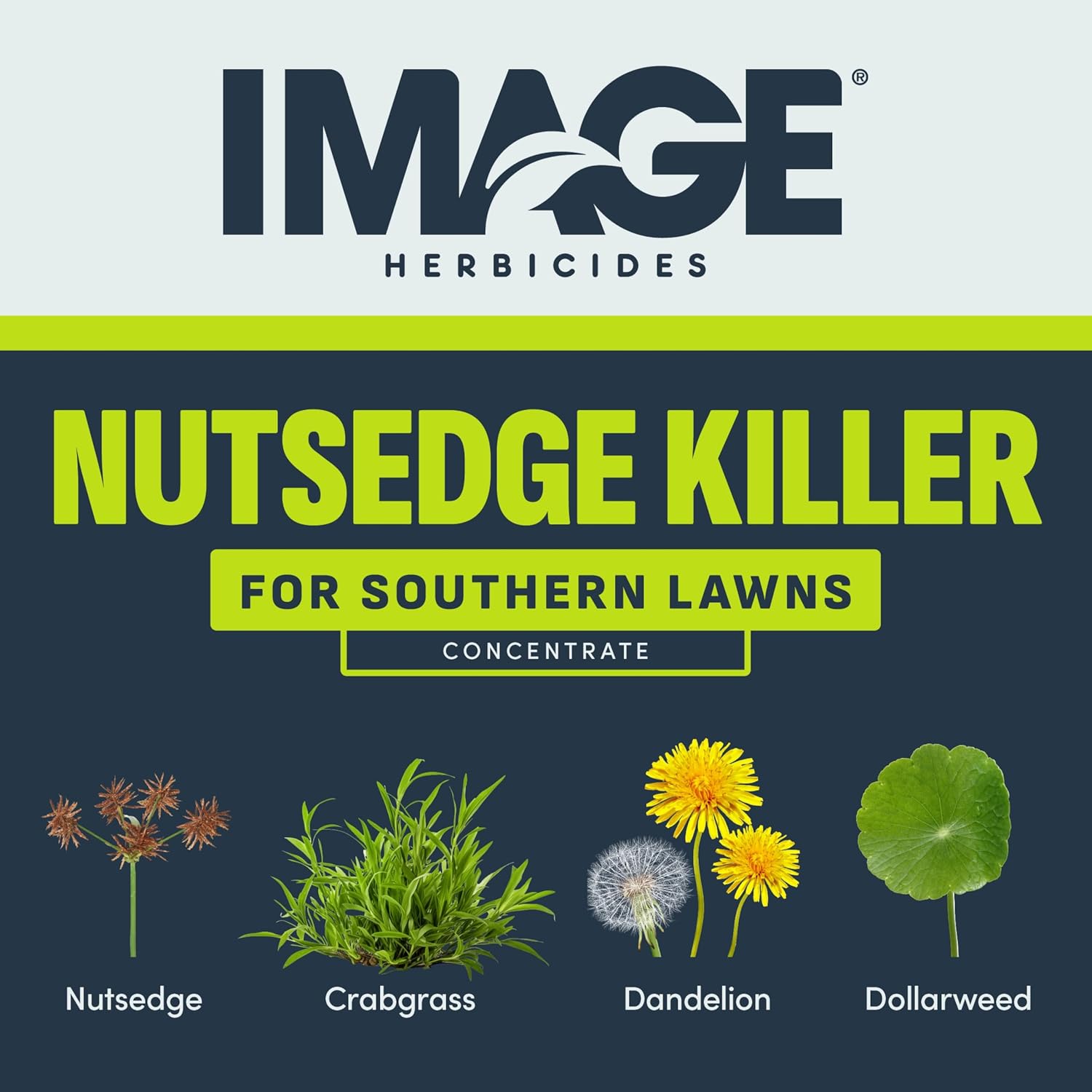 Image Herbicide Nutsedge Killer for Southern Lawns, 32 fl oz | Weed killer spray for Bermudagrass, Zoysiagrass, St. Augustinegrass