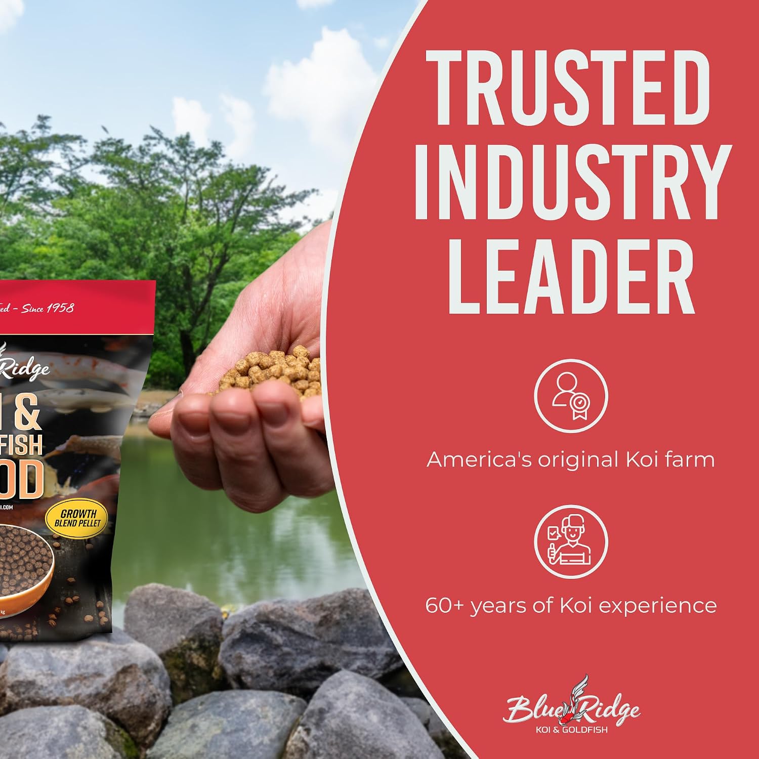 Blue Ridge Koi Fish Food 2lb - Koi Food 3/16” Large and Mini Blend Growth Formula, Goldfish Food, Premium Fish Food for Ponds, Ponds Fish Food, Floating Pond Pellets