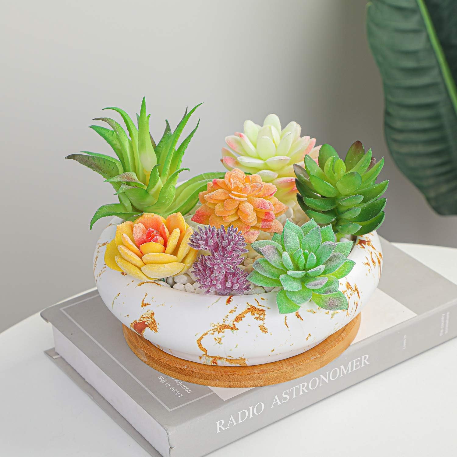 Succulent Pots, 7.3'' Large Bonsai Pots with Tray, Shallow Planters