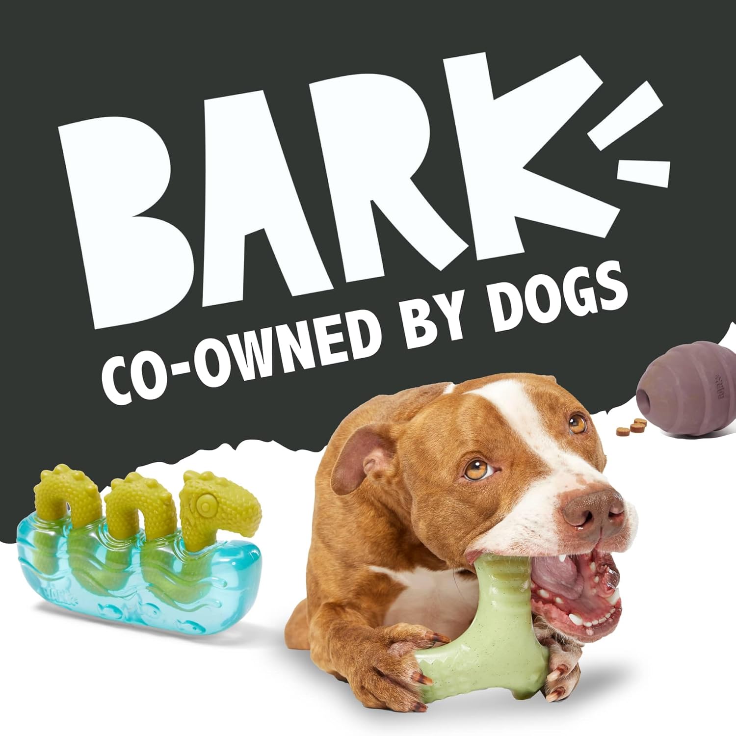 BarkBox Turkey Super Chewer - Toy for Large Dogs