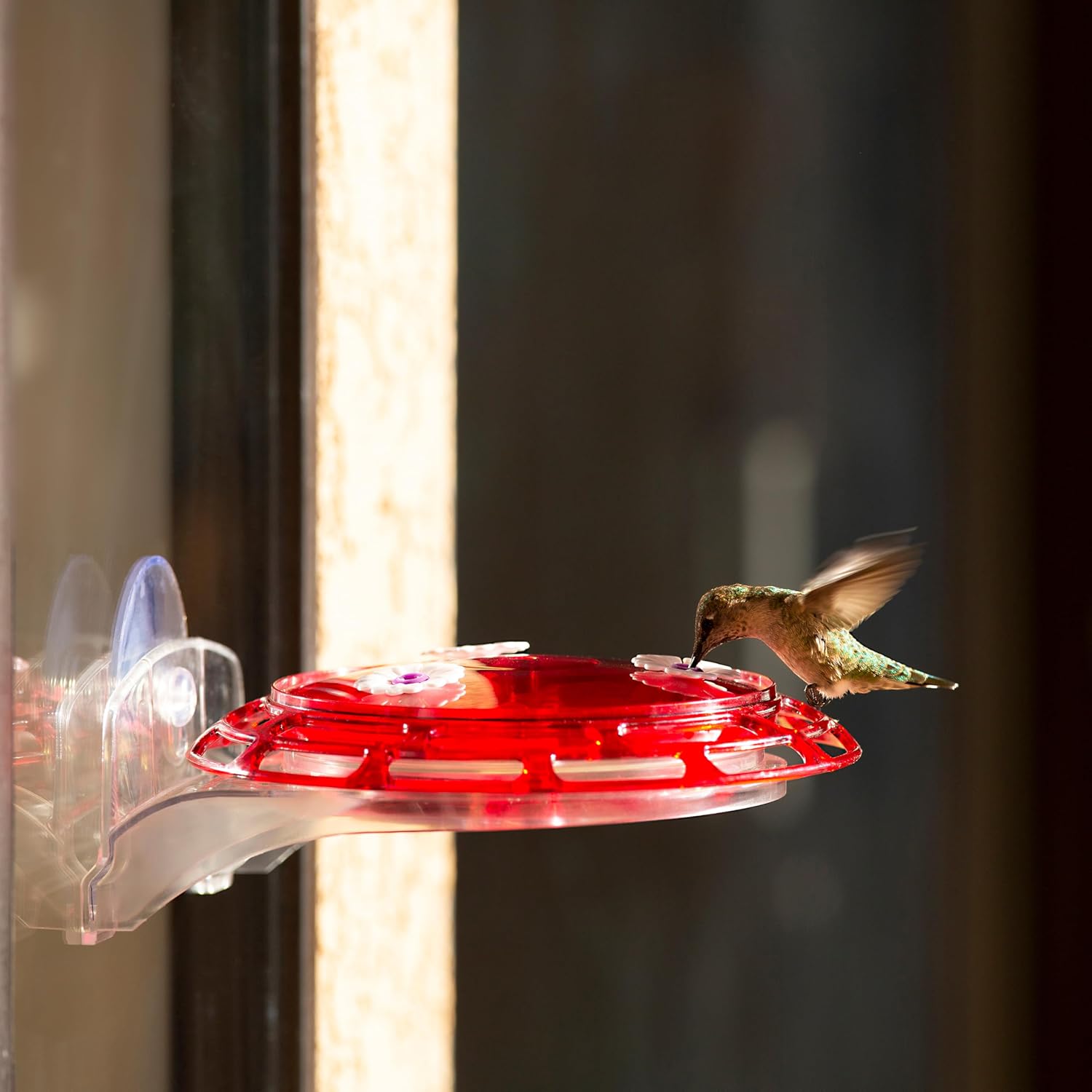 More Birds 3-in-1 Hummingbird Feeder 6 fl oz Red Plastic Window Mount Hanging Outdoor Bird Feeder with Suction Cup Hanger for Backyard Birding