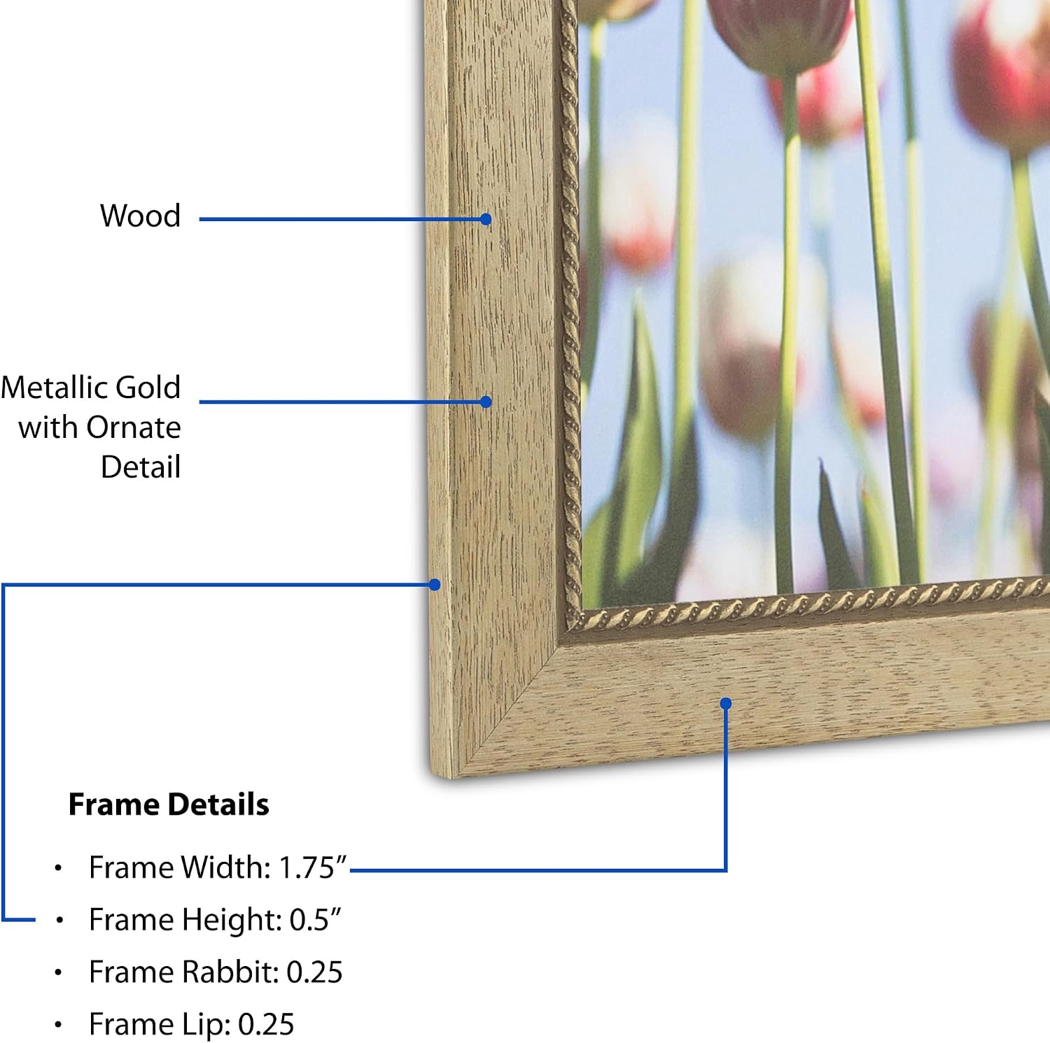 ArtToFrames 28x35 Inch Gold Picture Frame