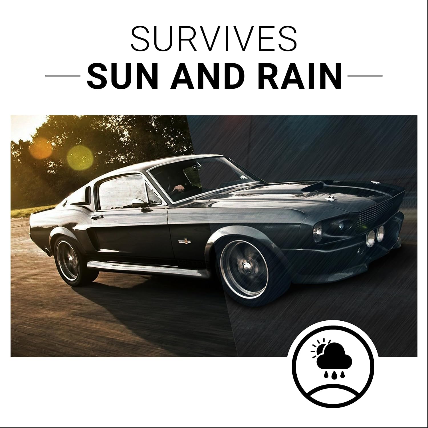 CarGuys Plastic Restorer | Bring Plastic, Rubber
