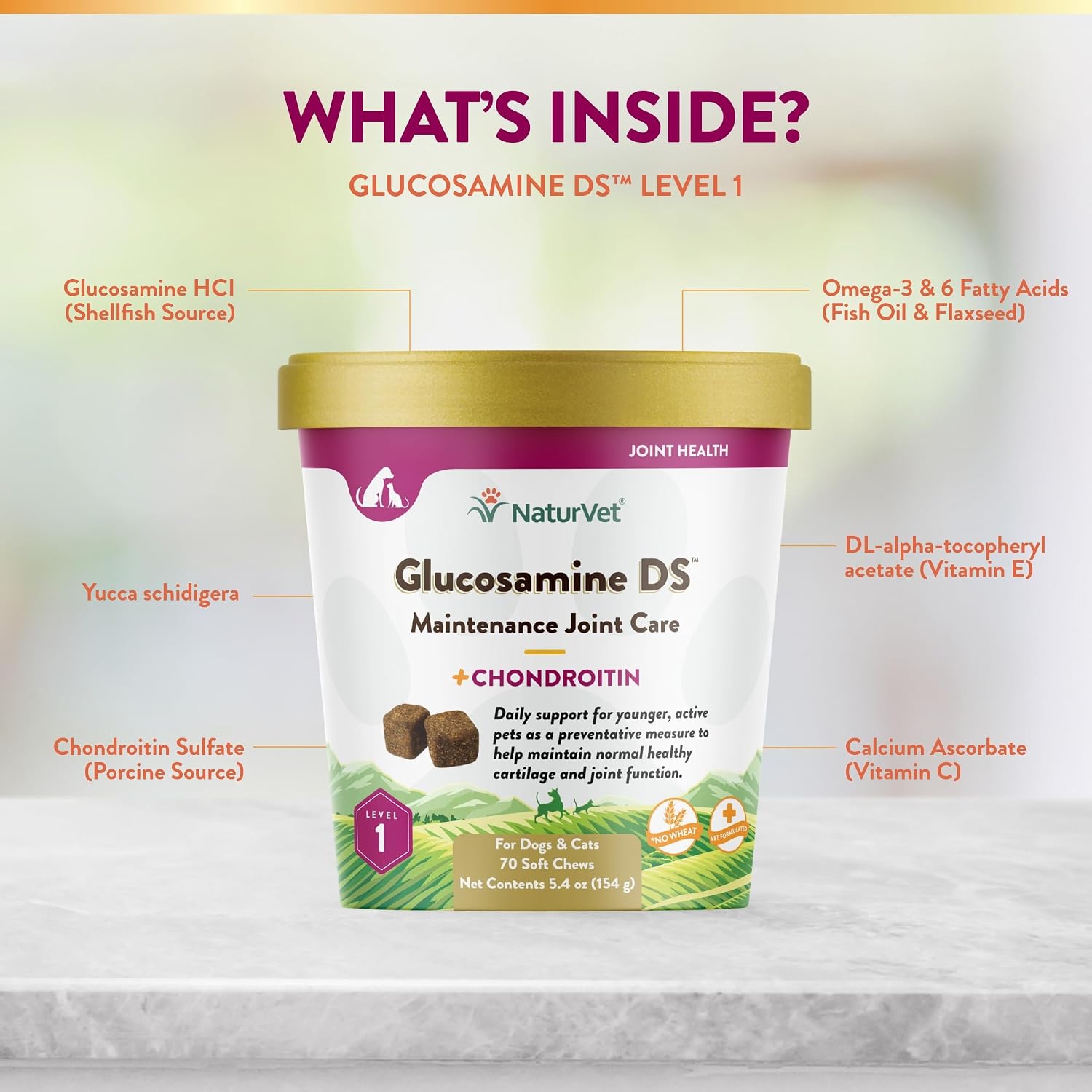 NaturVet – Glucosamine DS Plus - Level 2 Moderate Care – Supports Healthy Hip & Joint Function – Enhanced with Glucosamine, MSM & Chondroitin – for Dogs & Cats–70 Soft Chews