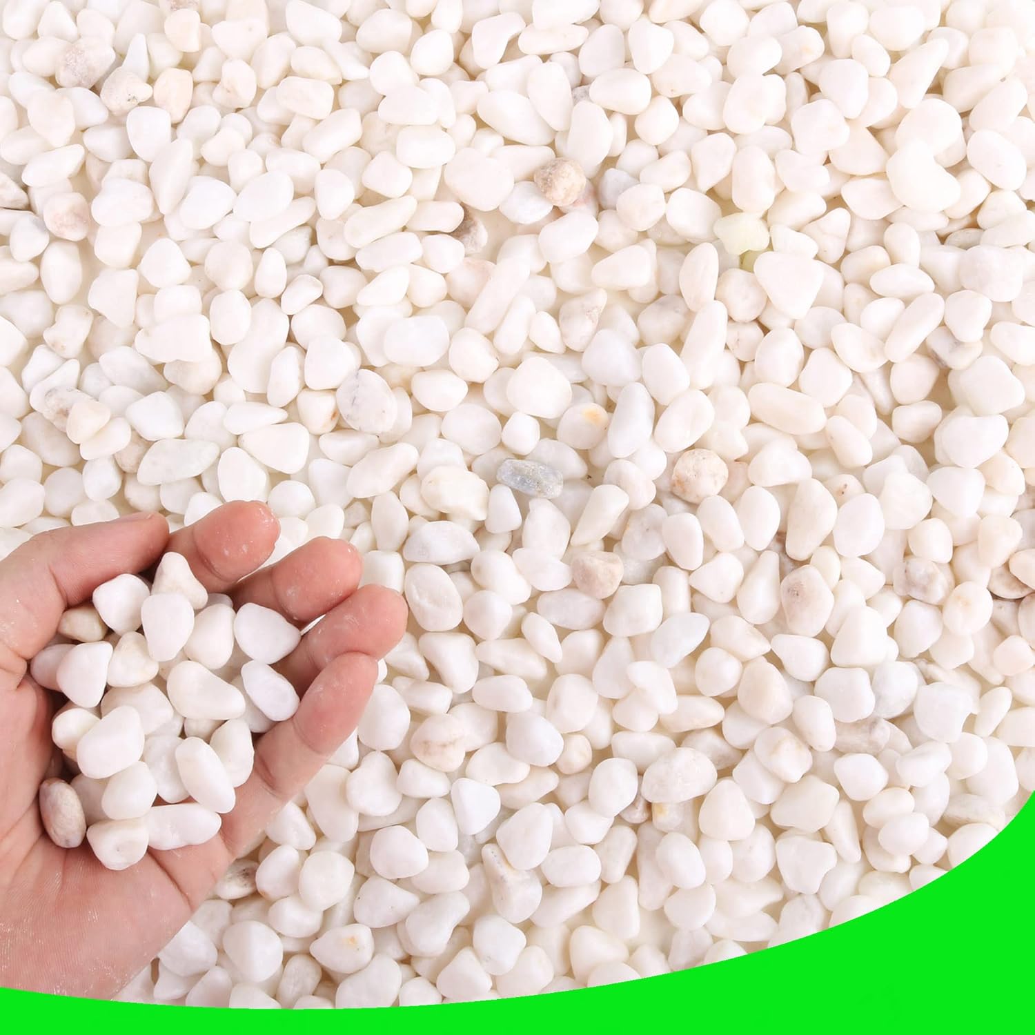 Pebbles for Plants 3 lb Natural Garden Decorative Stone Outdoor Aquariums Gravel 1-1.5 Inches