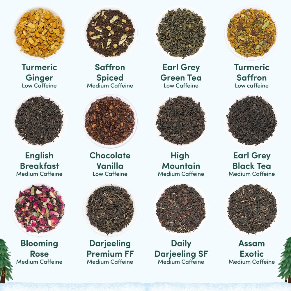 VAHDAM Assorted Green Tea Loose Leaf Tea Gift Set (10 Flavors) | Loose Leaf Green Tea Collection | Includes Himalayan Green Tea Varieties | Packed in Resealable Ziplock Pouches