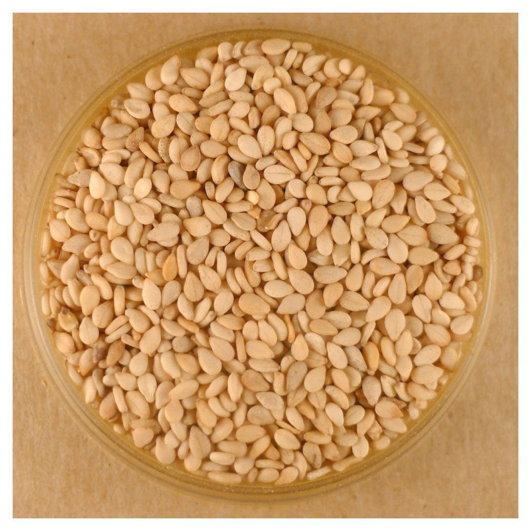 Sesame Seeds, Toasted - 10 lbs Bulk