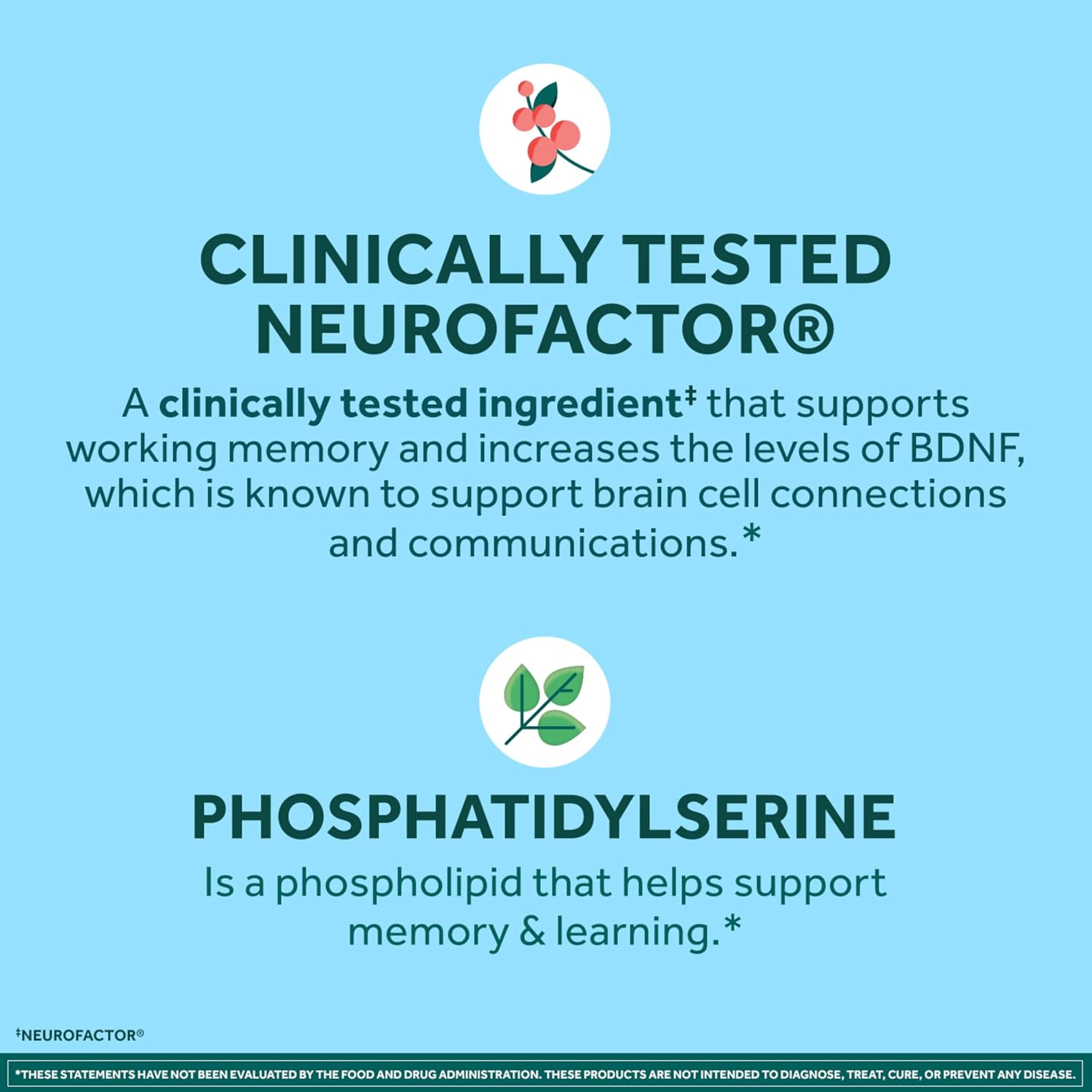 NEURIVA Plus Brain Supplements for Memory and Focus, Clinically Tested Nootropics Neurofactor and Phosphatidylserine with Vitamin B12, Vitamin B6
