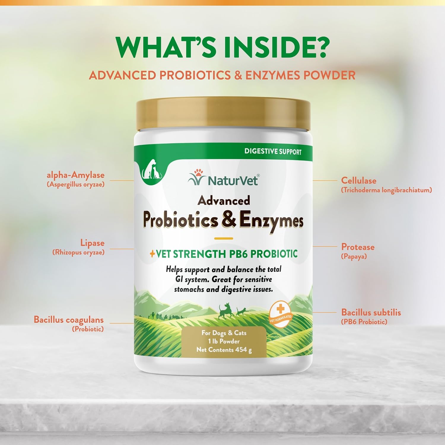 NaturVet Digestive Enzymes with Pre & Probiotic for Dogs & Cats - 8 oz | Supports Diet Changes & a Healthy Digestive Tract with Prebiotics, Powder