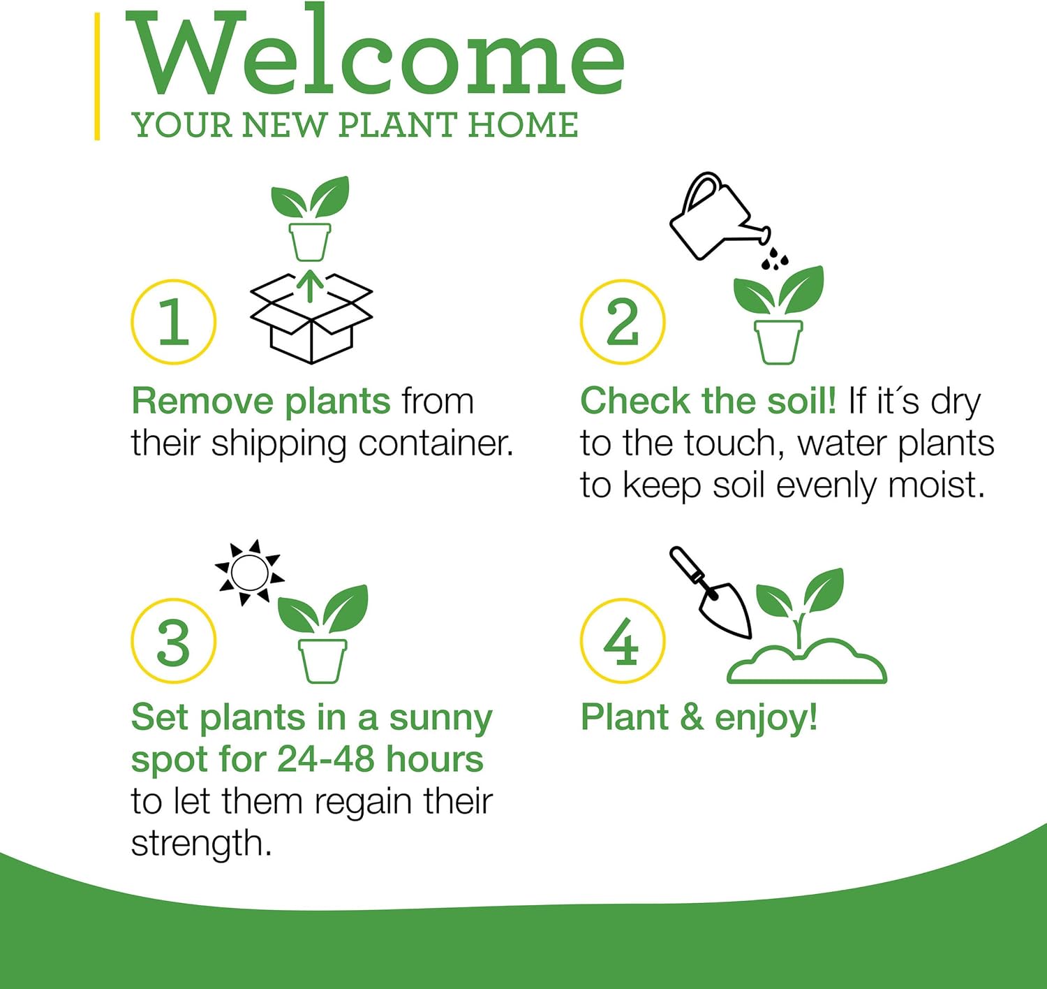 Bonnie Plants Rosemary Live Edible Aromatic Herb Plant - 4 Pack, Perennial In Zones 8 to 10, Great for Cooking & Grilling