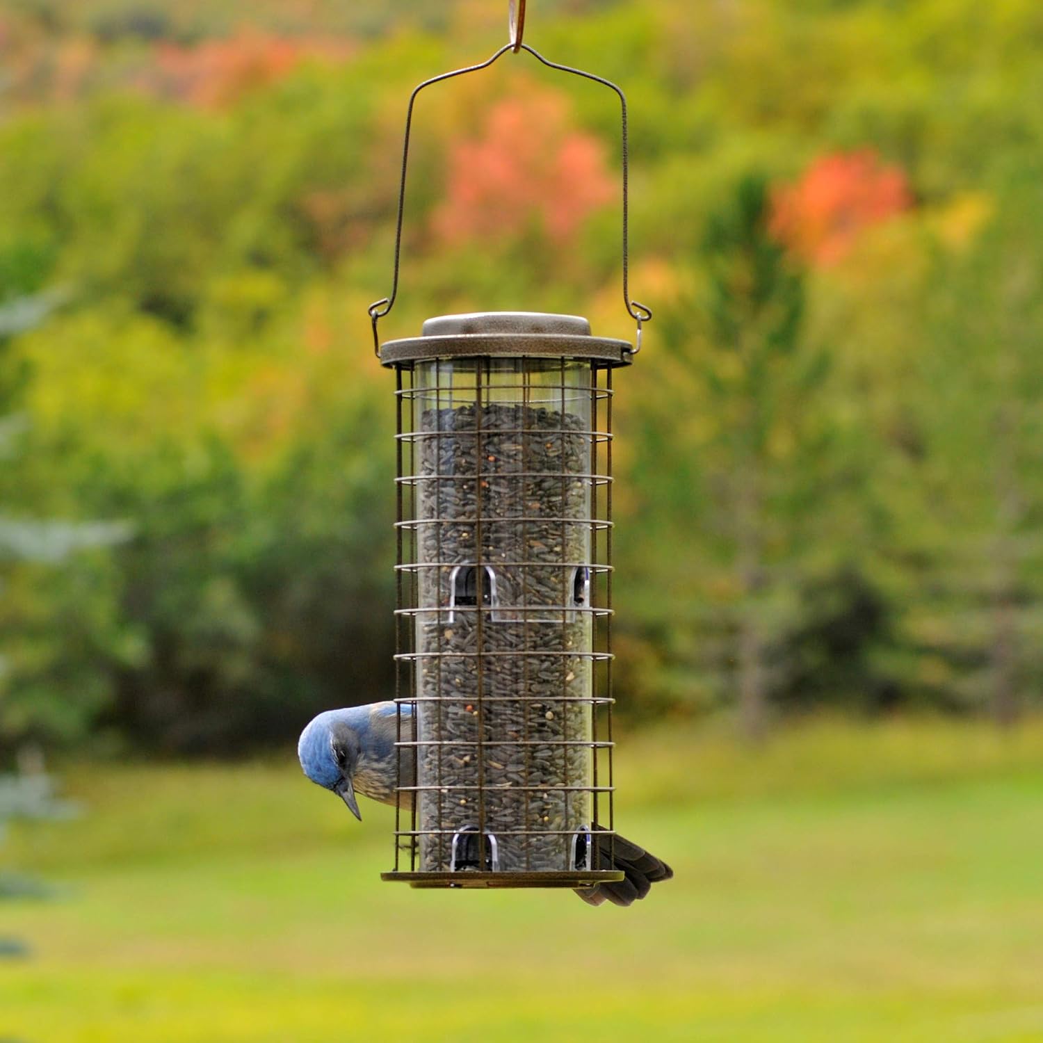 Perky-Pet 114 Squirrel Stumper Wild Bird Feeder