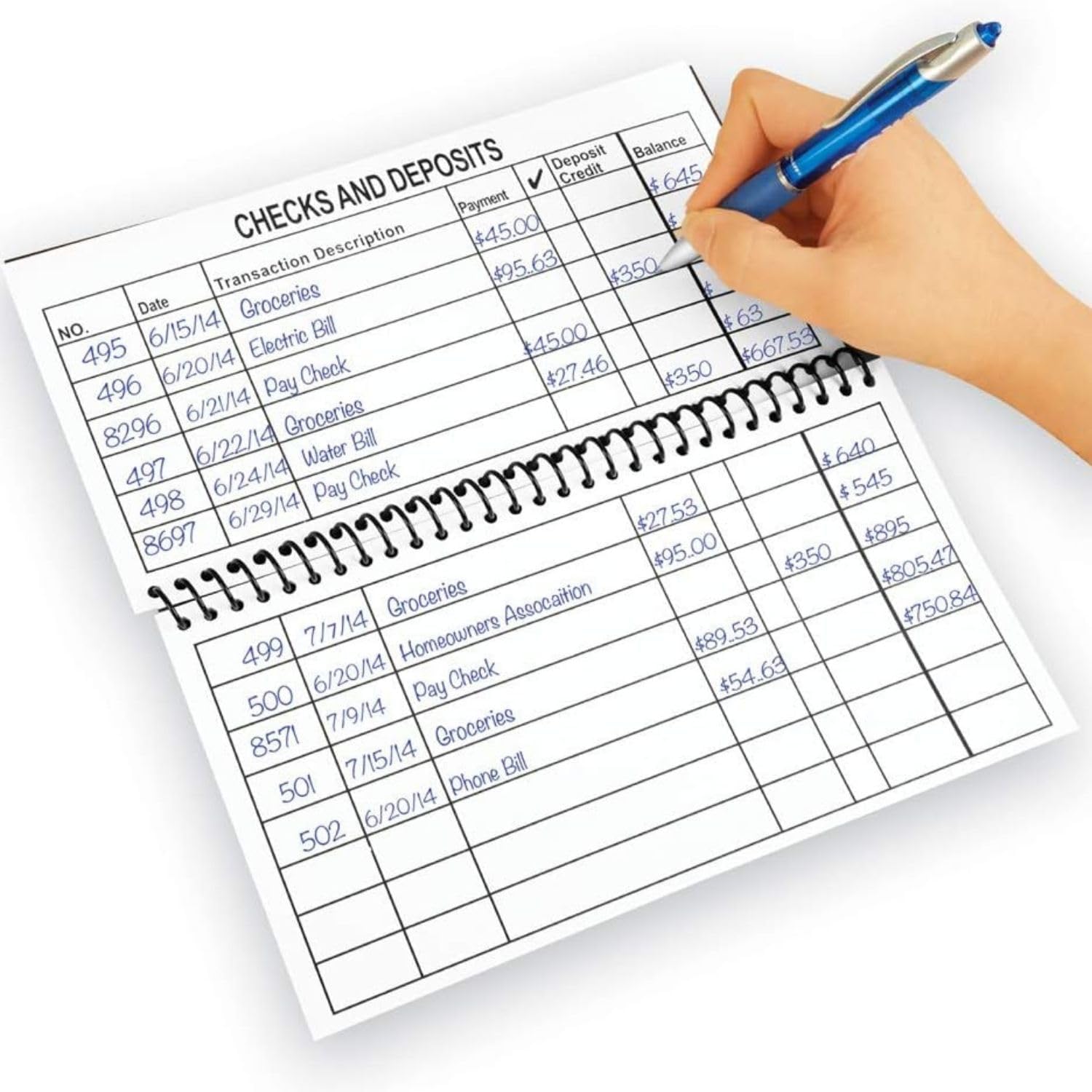 The Giant Print Check Register
