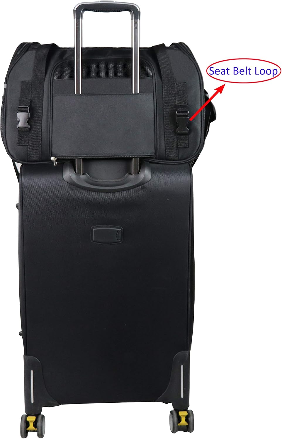 EliteField Soft-Sided Pet Carrier for Cats & Small Dogs (3-Year Warranty) | Airline Approved, Removable Bed & Cover, Built-In Leash, Luggage Sleeve, Seat Belt Loop, Waterproof, Durable, Foldable